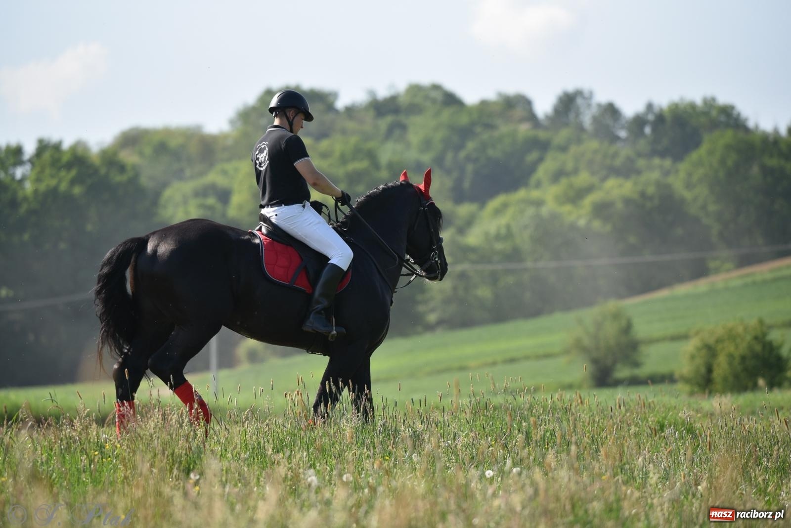 Zdjęcie w galerii na portalu naszraciborz.pl: Na pamiątkę wielkiego gradobicia. 147. procesja w Pogrzebieniu [FOTO i WIDEO] wiadomości z regionu