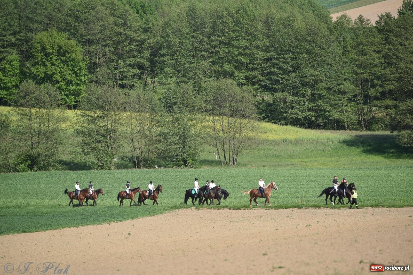 Zdjęcie w galerii na portalu naszraciborz.pl: Na pamiątkę wielkiego gradobicia. 147. procesja w Pogrzebieniu [FOTO i WIDEO] wiadomości z regionu