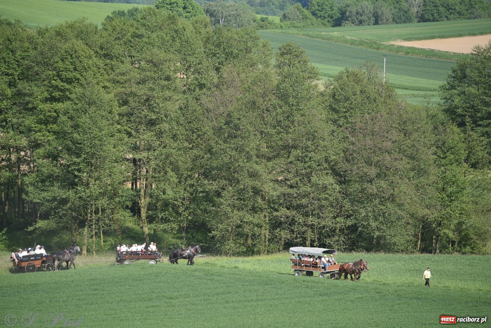Zdjęcie w galerii na portalu naszraciborz.pl: Na pamiątkę wielkiego gradobicia. 147. procesja w Pogrzebieniu [FOTO i WIDEO] wiadomości z regionu
