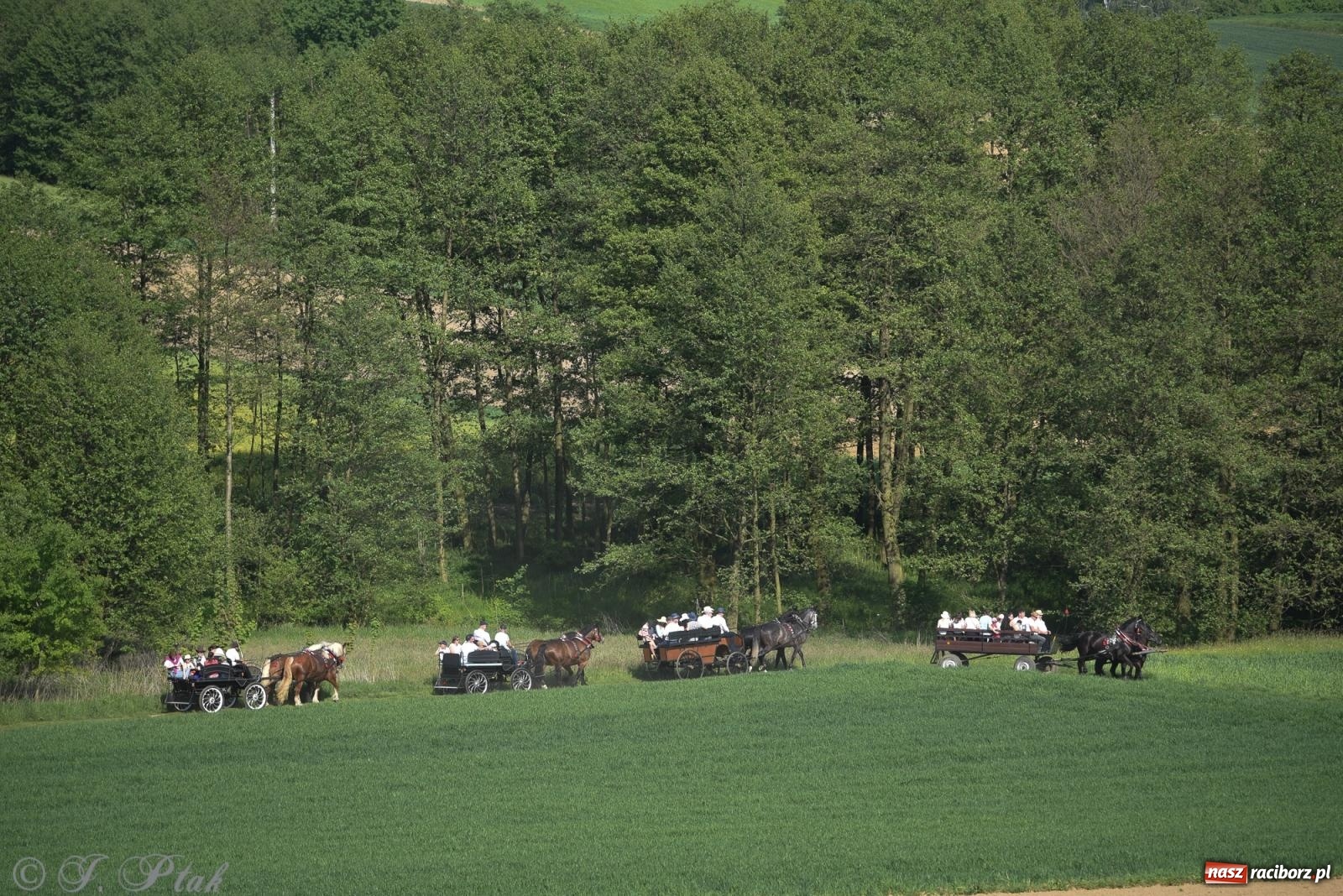 Zdjęcie w galerii na portalu naszraciborz.pl: Na pamiątkę wielkiego gradobicia. 147. procesja w Pogrzebieniu [FOTO i WIDEO] wiadomości z regionu