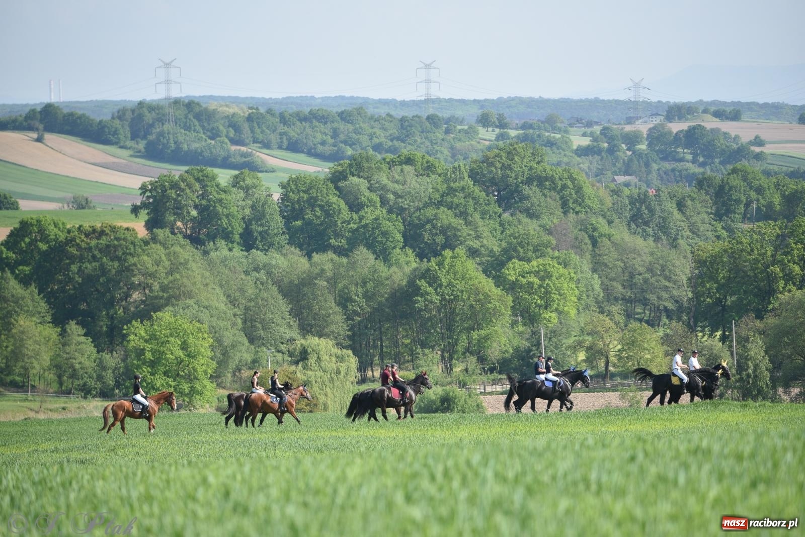 Zdjęcie w galerii na portalu naszraciborz.pl: Na pamiątkę wielkiego gradobicia. 147. procesja w Pogrzebieniu [FOTO i WIDEO] wiadomości z regionu