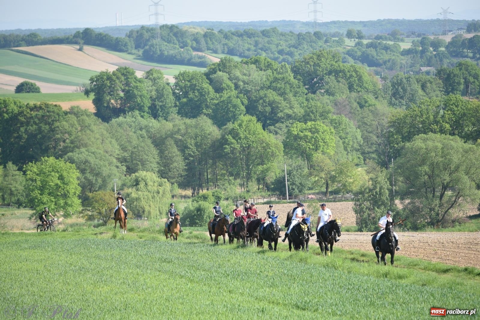 Zdjęcie w galerii na portalu naszraciborz.pl: Na pamiątkę wielkiego gradobicia. 147. procesja w Pogrzebieniu [FOTO i WIDEO] wiadomości z regionu