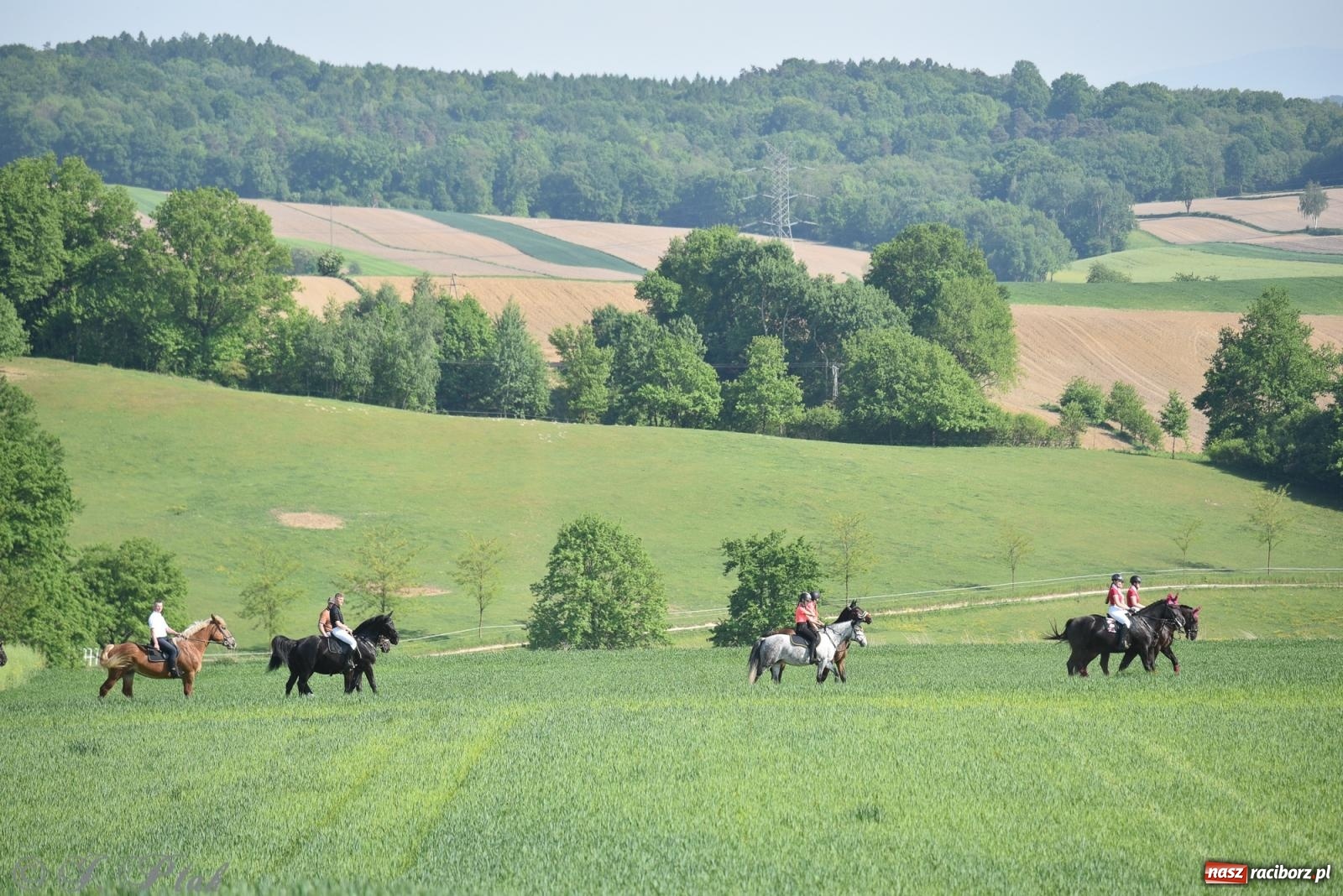 Zdjęcie w galerii na portalu naszraciborz.pl: Na pamiątkę wielkiego gradobicia. 147. procesja w Pogrzebieniu [FOTO i WIDEO] wiadomości z regionu