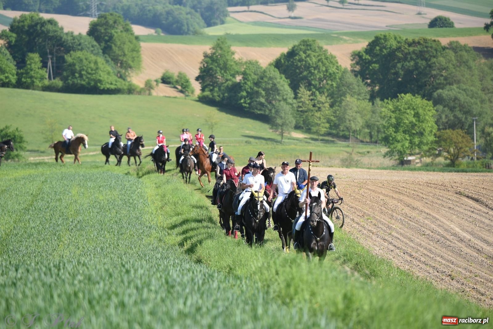Zdjęcie w galerii na portalu naszraciborz.pl: Na pamiątkę wielkiego gradobicia. 147. procesja w Pogrzebieniu [FOTO i WIDEO] wiadomości z regionu