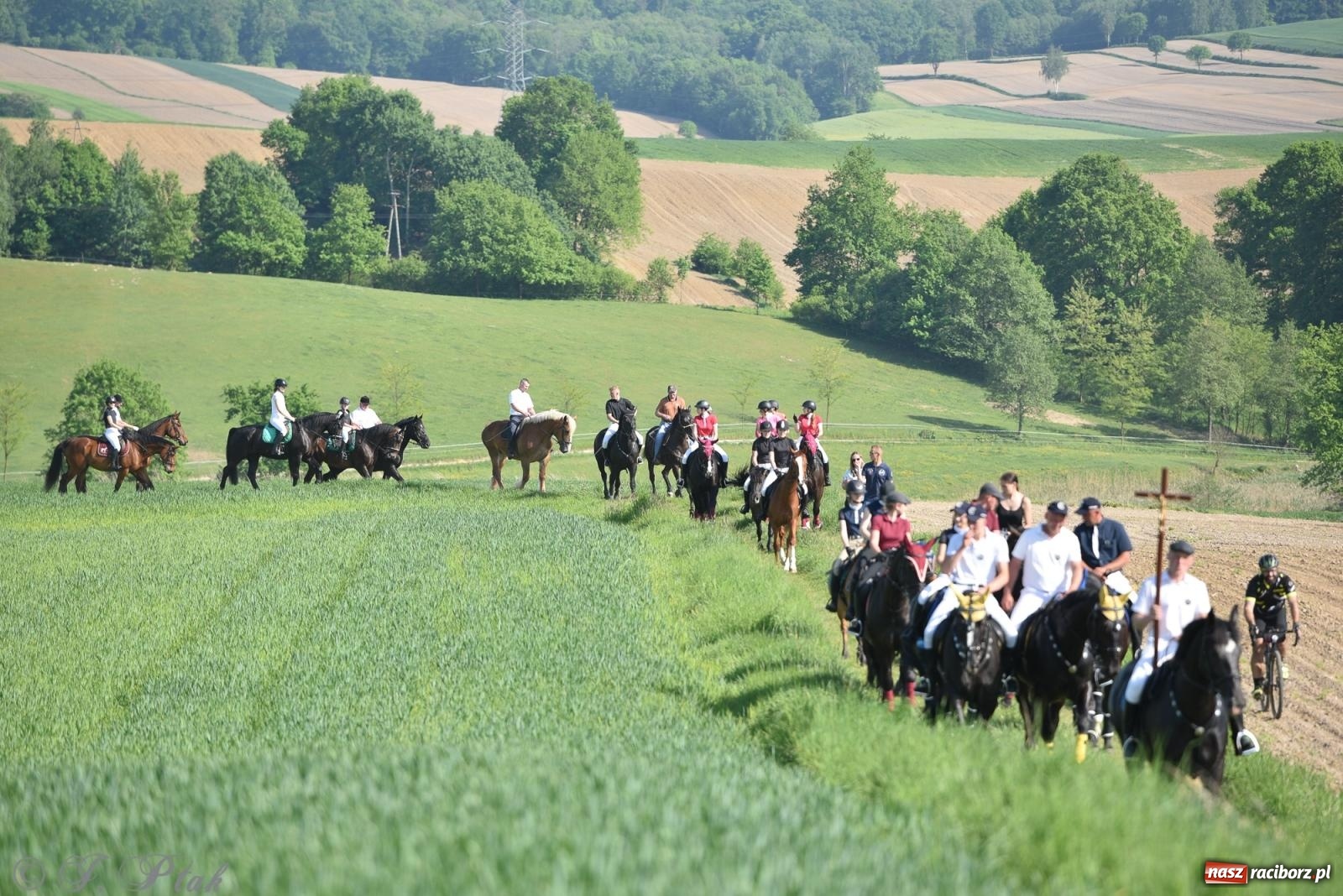 Zdjęcie w galerii na portalu naszraciborz.pl: Na pamiątkę wielkiego gradobicia. 147. procesja w Pogrzebieniu [FOTO i WIDEO] wiadomości z regionu