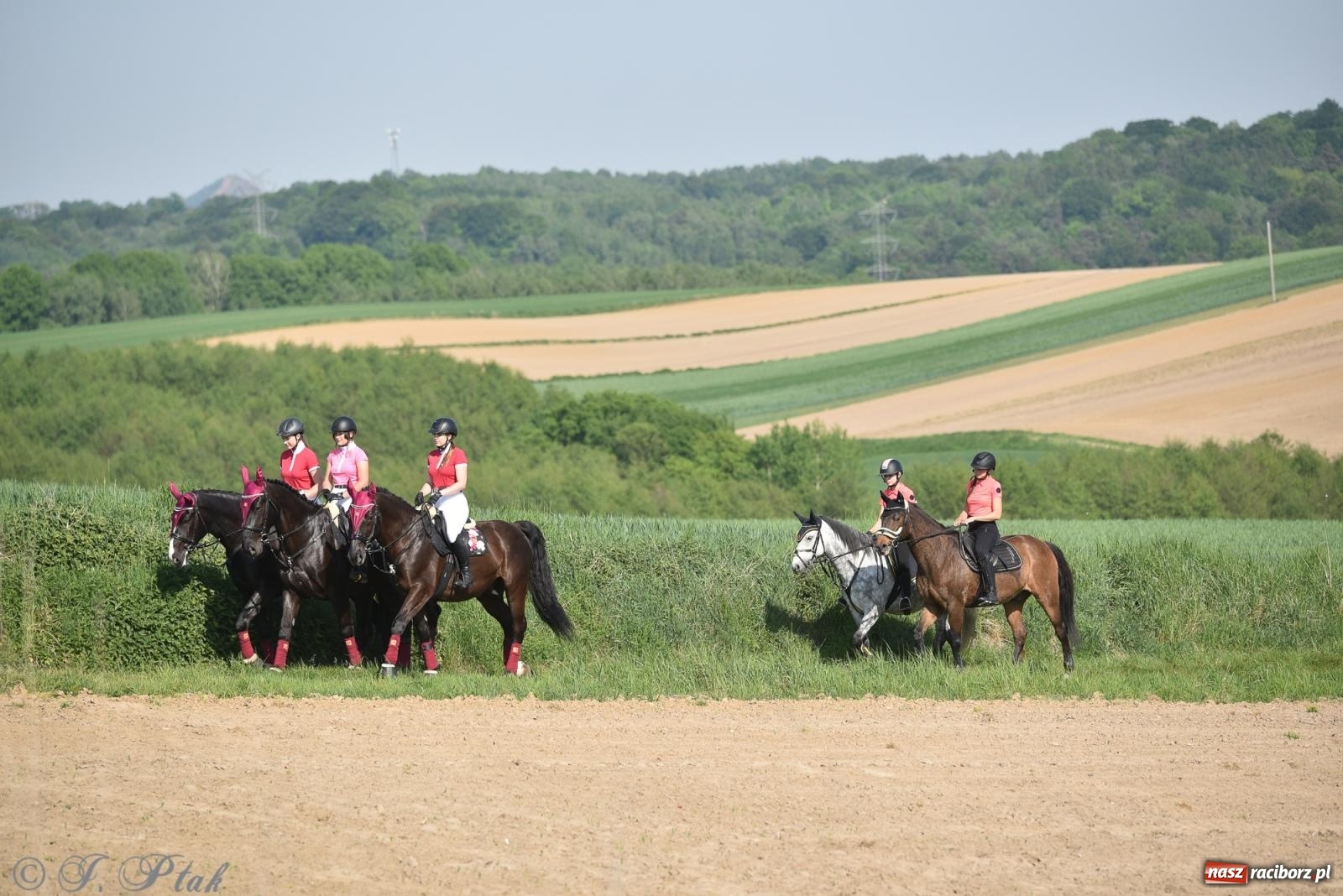 Zdjęcie w galerii na portalu naszraciborz.pl: Na pamiątkę wielkiego gradobicia. 147. procesja w Pogrzebieniu [FOTO i WIDEO] wiadomości z regionu
