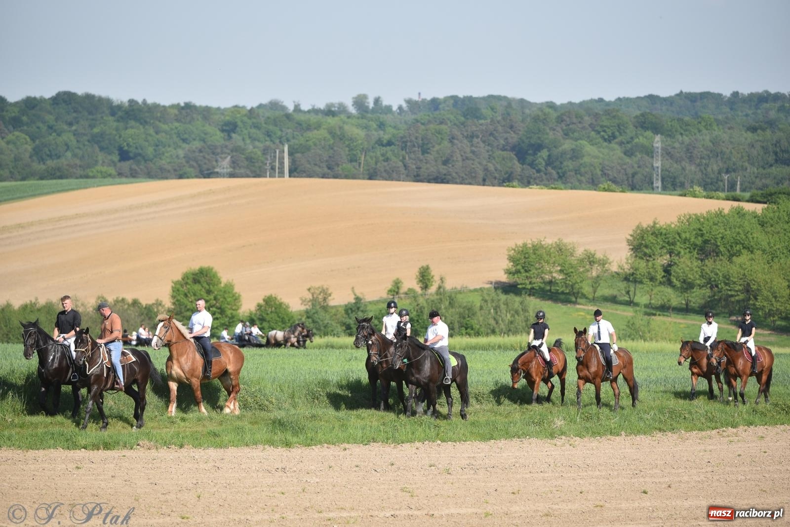 Zdjęcie w galerii na portalu naszraciborz.pl: Na pamiątkę wielkiego gradobicia. 147. procesja w Pogrzebieniu [FOTO i WIDEO] wiadomości z regionu