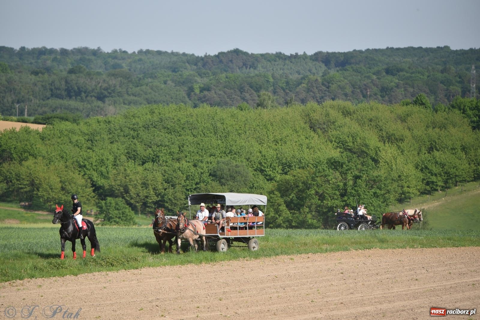 Zdjęcie w galerii na portalu naszraciborz.pl: Na pamiątkę wielkiego gradobicia. 147. procesja w Pogrzebieniu [FOTO i WIDEO] wiadomości z regionu