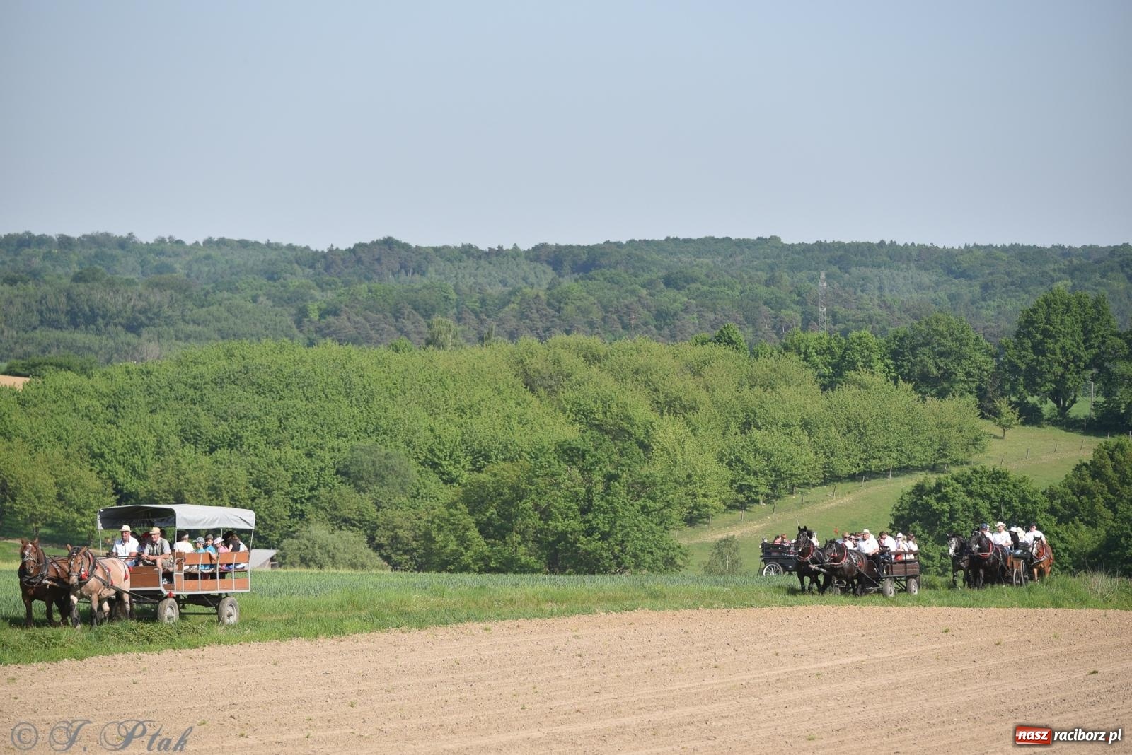Zdjęcie w galerii na portalu naszraciborz.pl: Na pamiątkę wielkiego gradobicia. 147. procesja w Pogrzebieniu [FOTO i WIDEO] wiadomości z regionu