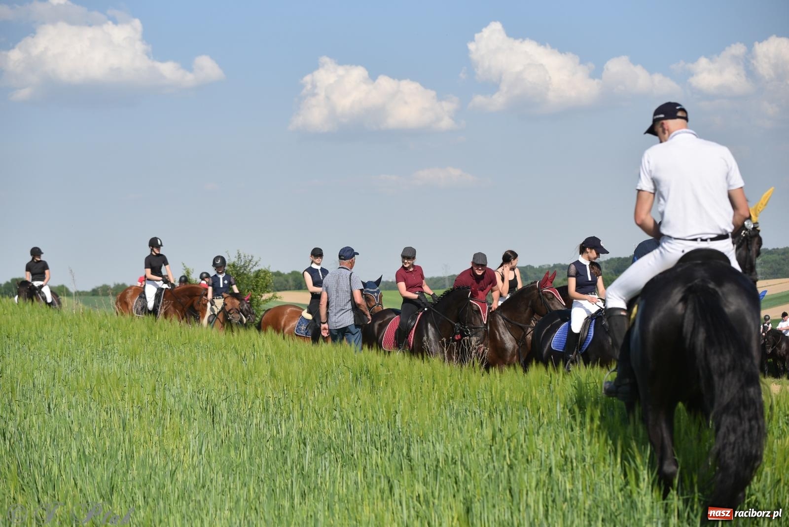 Zdjęcie w galerii na portalu naszraciborz.pl: Na pamiątkę wielkiego gradobicia. 147. procesja w Pogrzebieniu [FOTO i WIDEO] wiadomości z regionu