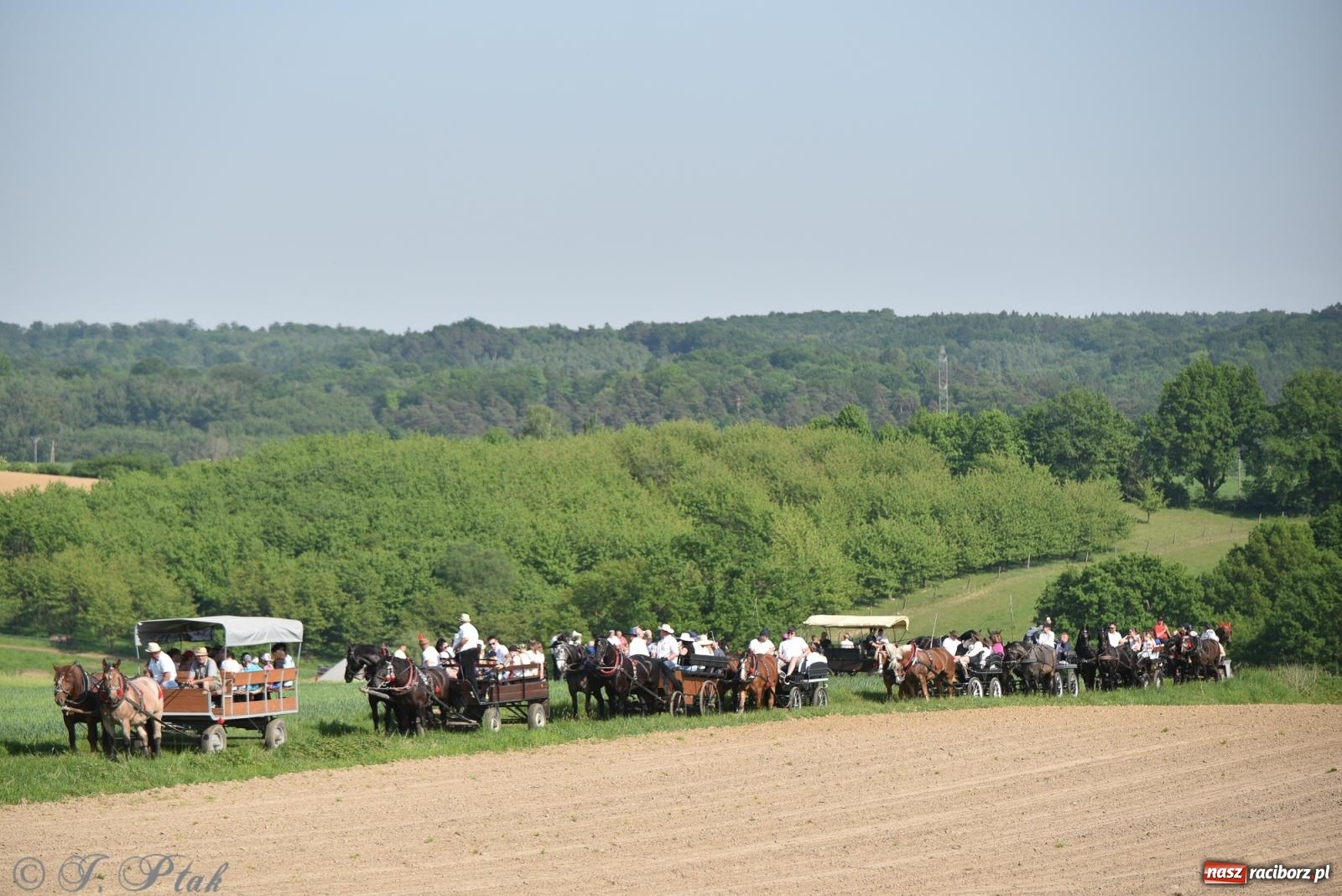 Zdjęcie w galerii na portalu naszraciborz.pl: Na pamiątkę wielkiego gradobicia. 147. procesja w Pogrzebieniu [FOTO i WIDEO] wiadomości z regionu