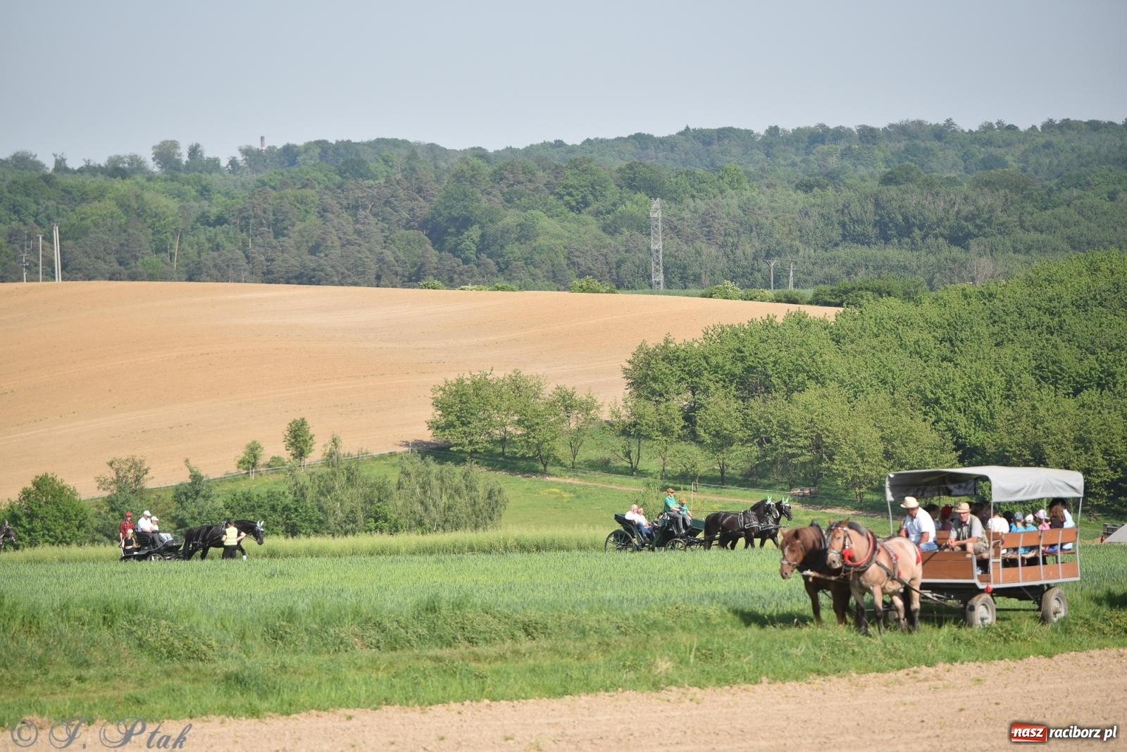Zdjęcie w galerii na portalu naszraciborz.pl: Na pamiątkę wielkiego gradobicia. 147. procesja w Pogrzebieniu [FOTO i WIDEO] wiadomości z regionu