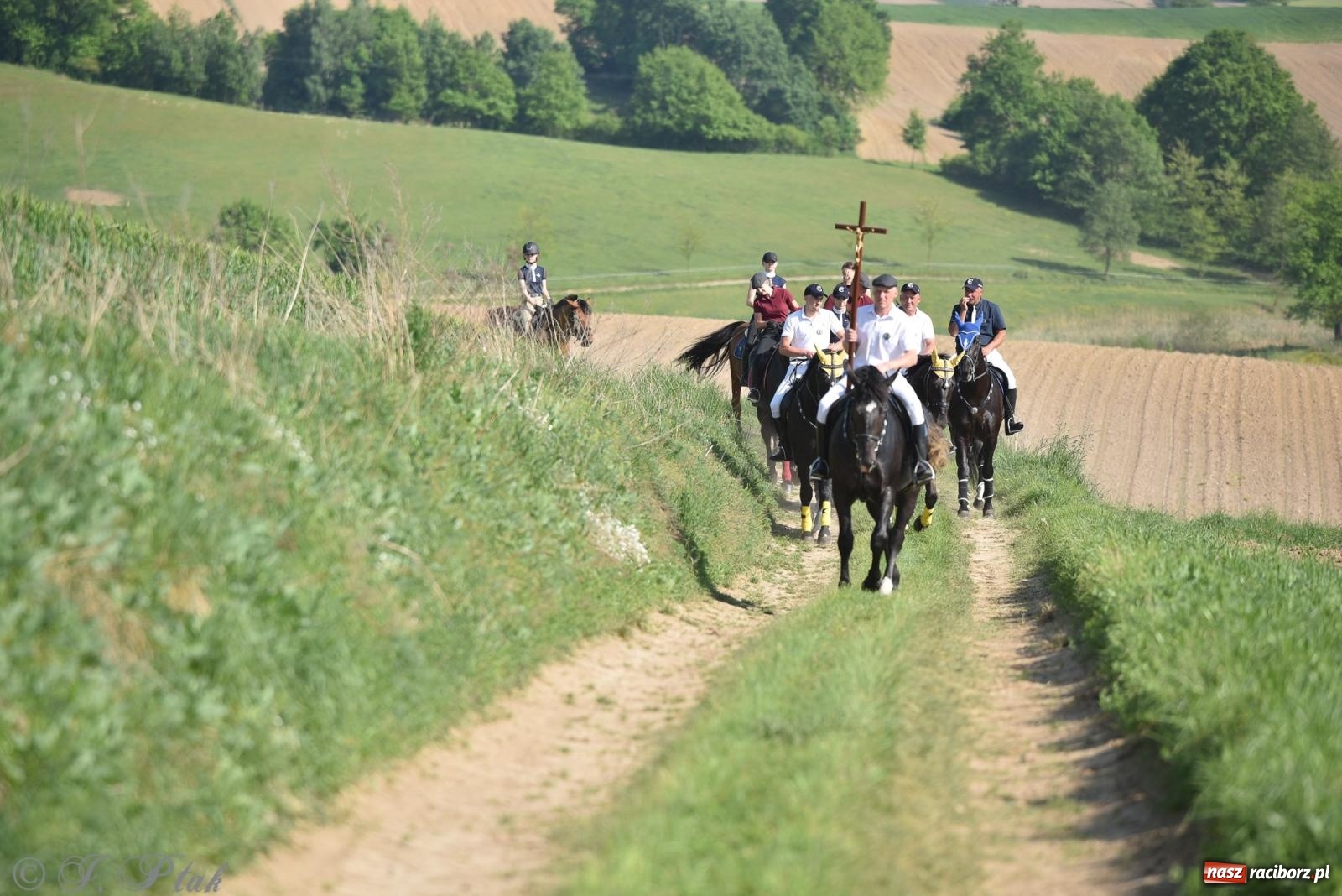 Zdjęcie w galerii na portalu naszraciborz.pl: Na pamiątkę wielkiego gradobicia. 147. procesja w Pogrzebieniu [FOTO i WIDEO] wiadomości z regionu