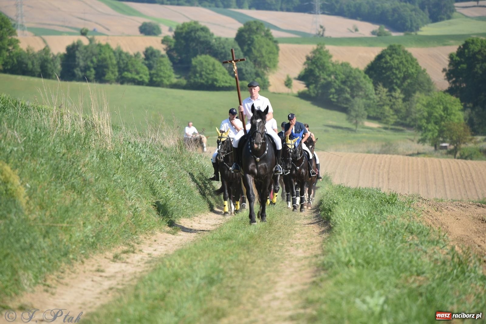 Zdjęcie w galerii na portalu naszraciborz.pl: Na pamiątkę wielkiego gradobicia. 147. procesja w Pogrzebieniu [FOTO i WIDEO] wiadomości z regionu