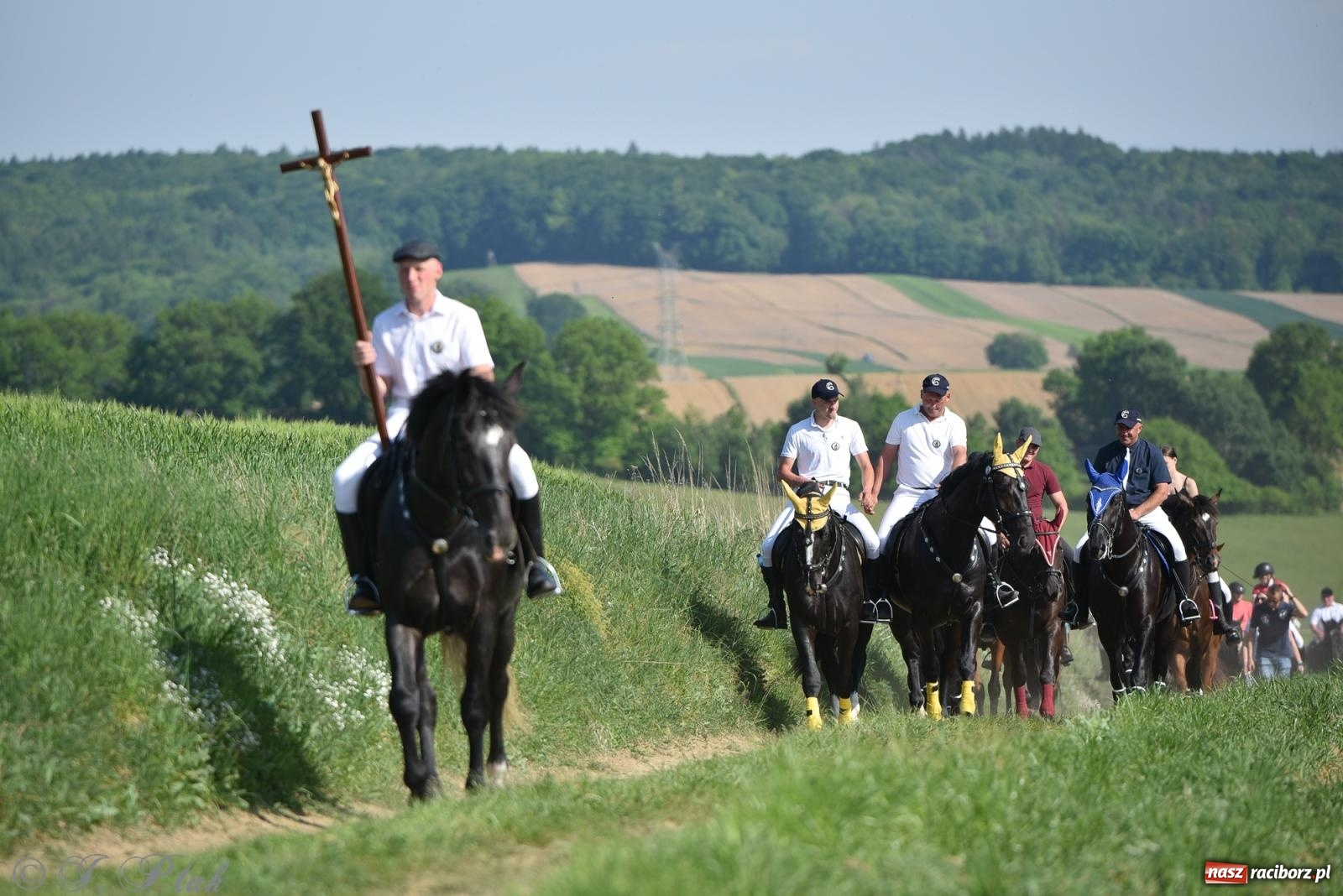 Zdjęcie w galerii na portalu naszraciborz.pl: Na pamiątkę wielkiego gradobicia. 147. procesja w Pogrzebieniu [FOTO i WIDEO] wiadomości z regionu