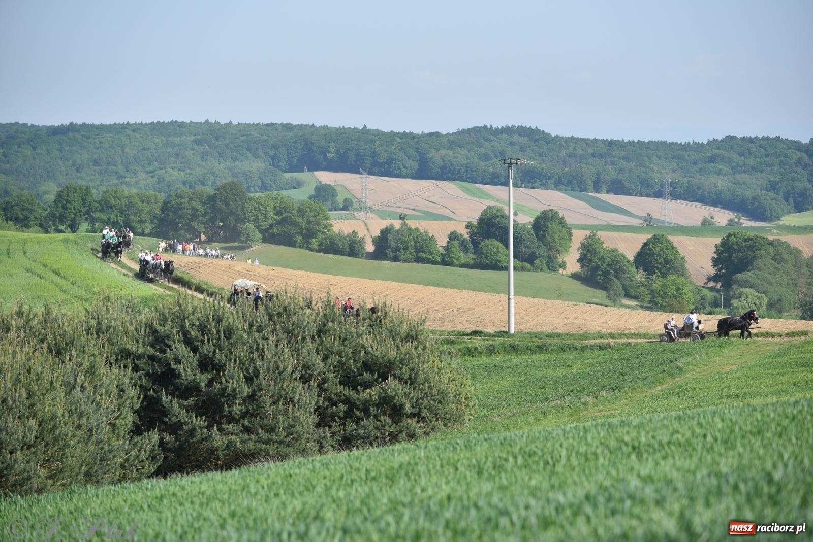 Zdjęcie w galerii na portalu naszraciborz.pl: Na pamiątkę wielkiego gradobicia. 147. procesja w Pogrzebieniu [FOTO i WIDEO] wiadomości z regionu
