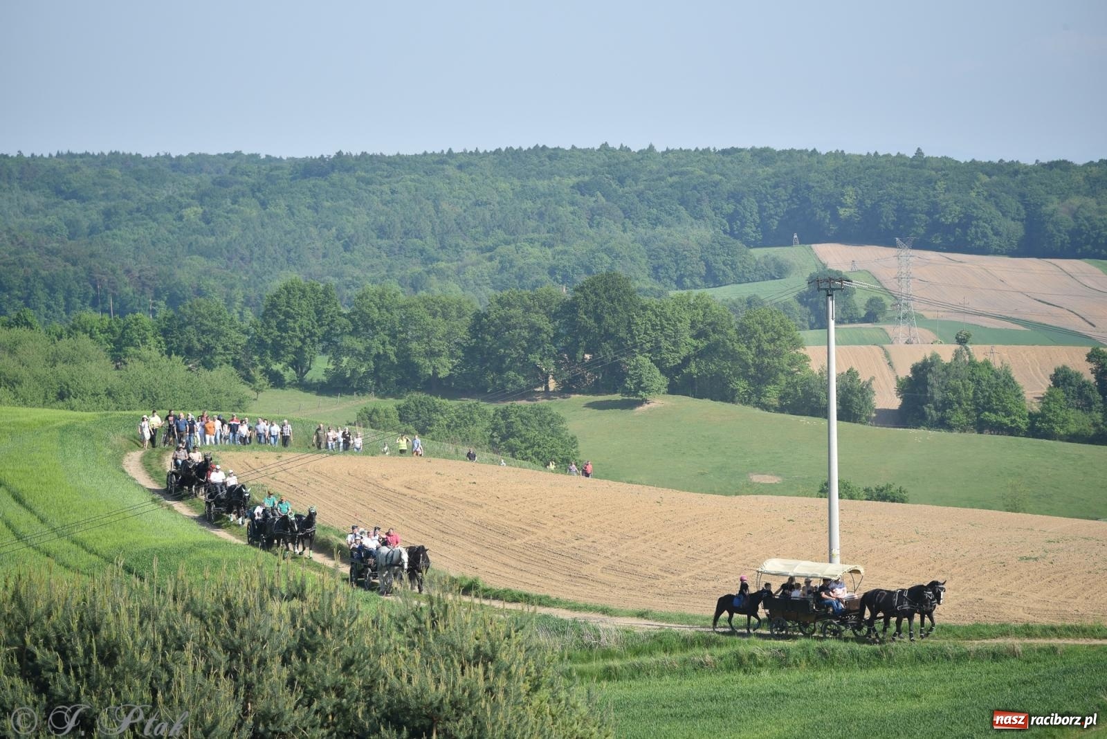 Zdjęcie w galerii na portalu naszraciborz.pl: Na pamiątkę wielkiego gradobicia. 147. procesja w Pogrzebieniu [FOTO i WIDEO] wiadomości z regionu