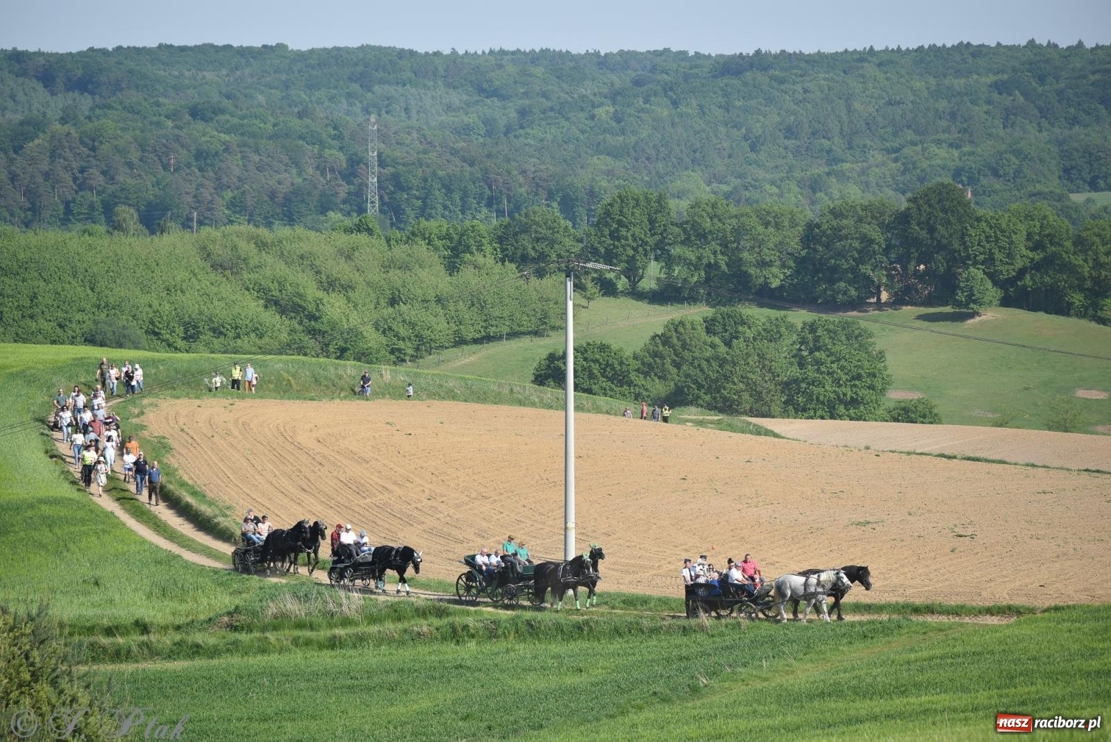 Zdjęcie w galerii na portalu naszraciborz.pl: Na pamiątkę wielkiego gradobicia. 147. procesja w Pogrzebieniu [FOTO i WIDEO] wiadomości z regionu
