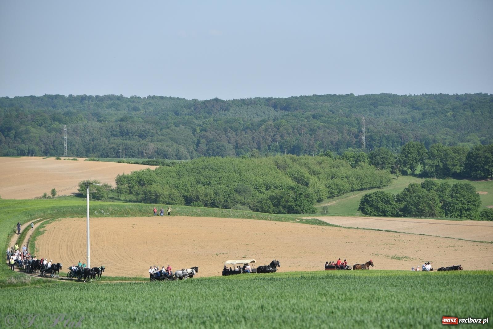 Zdjęcie w galerii na portalu naszraciborz.pl: Na pamiątkę wielkiego gradobicia. 147. procesja w Pogrzebieniu [FOTO i WIDEO] wiadomości z regionu