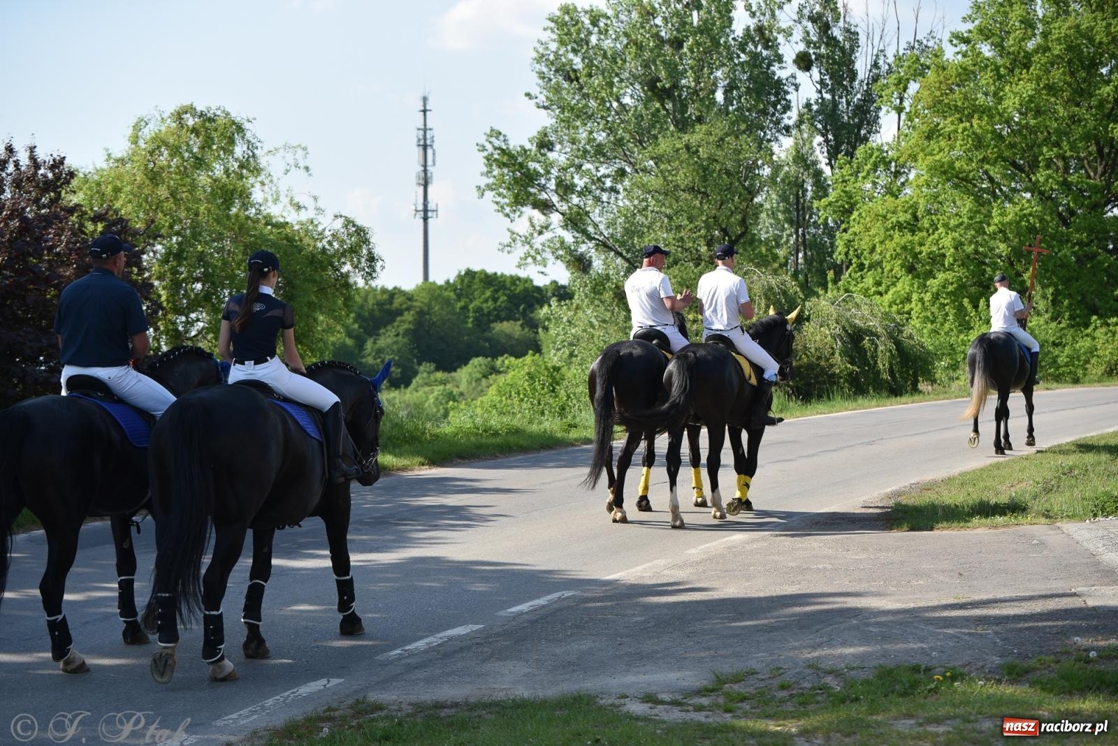 Zdjęcie w galerii na portalu naszraciborz.pl: Na pamiątkę wielkiego gradobicia. 147. procesja w Pogrzebieniu [FOTO i WIDEO] wiadomości z regionu