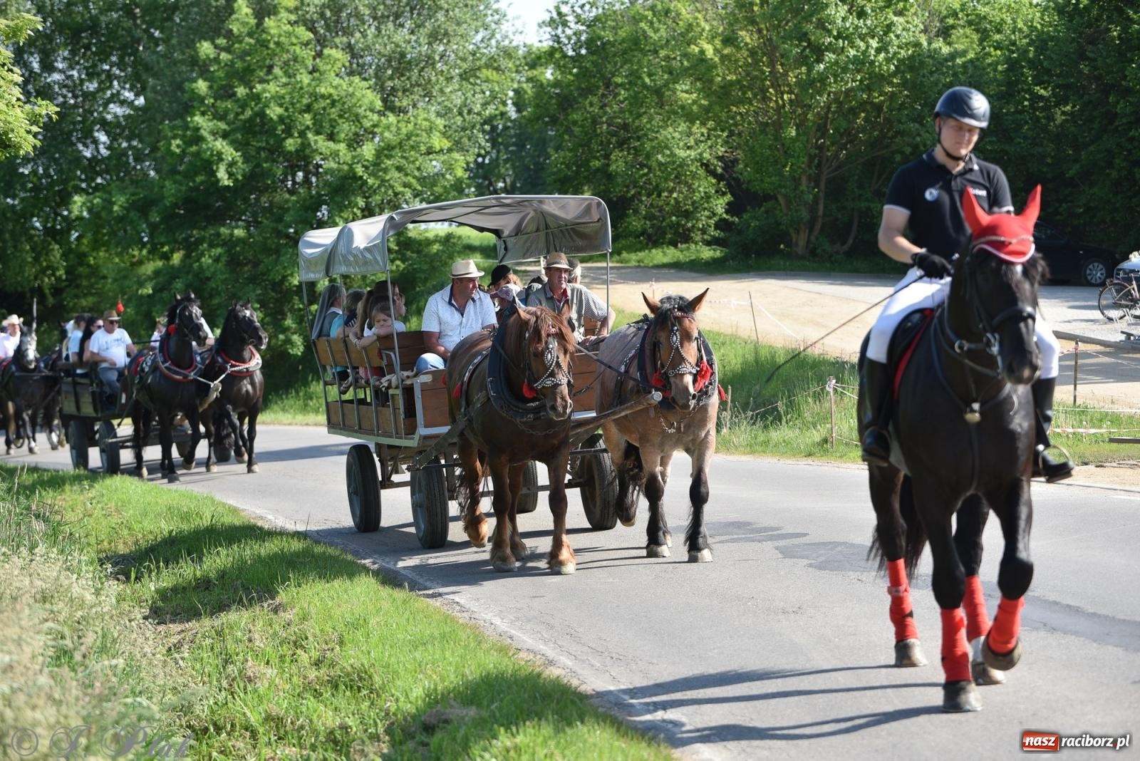 Zdjęcie w galerii na portalu naszraciborz.pl: Na pamiątkę wielkiego gradobicia. 147. procesja w Pogrzebieniu [FOTO i WIDEO] wiadomości z regionu