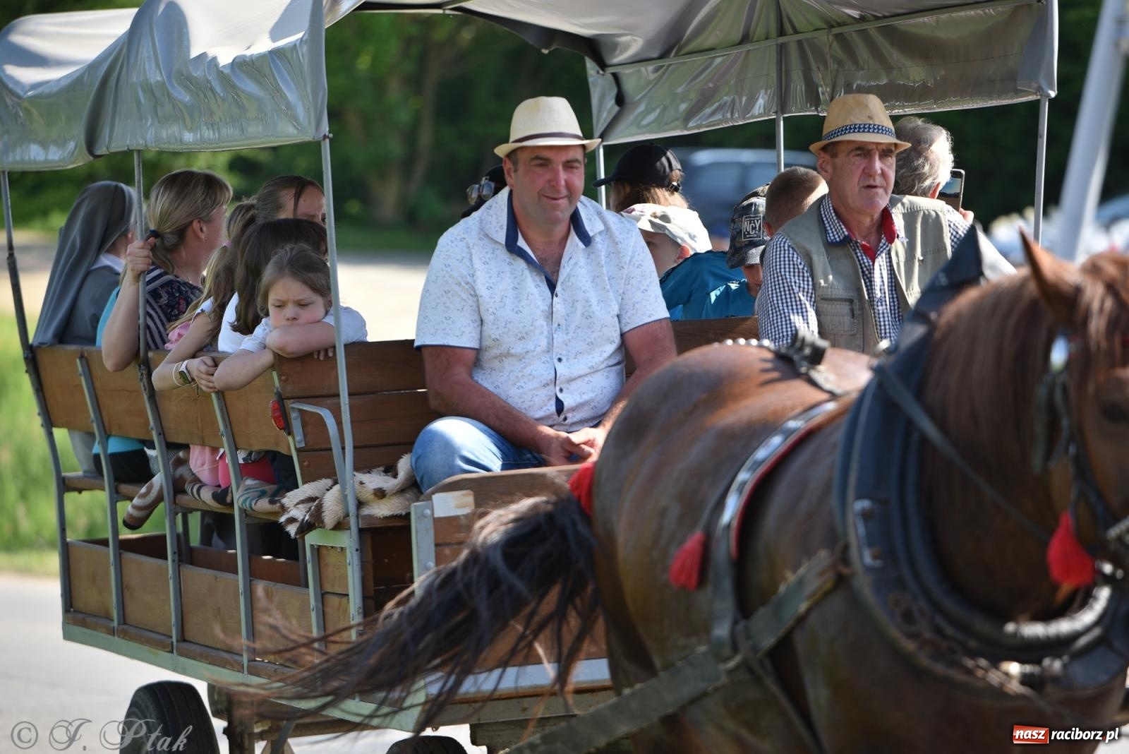 Zdjęcie w galerii na portalu naszraciborz.pl: Na pamiątkę wielkiego gradobicia. 147. procesja w Pogrzebieniu [FOTO i WIDEO] wiadomości z regionu