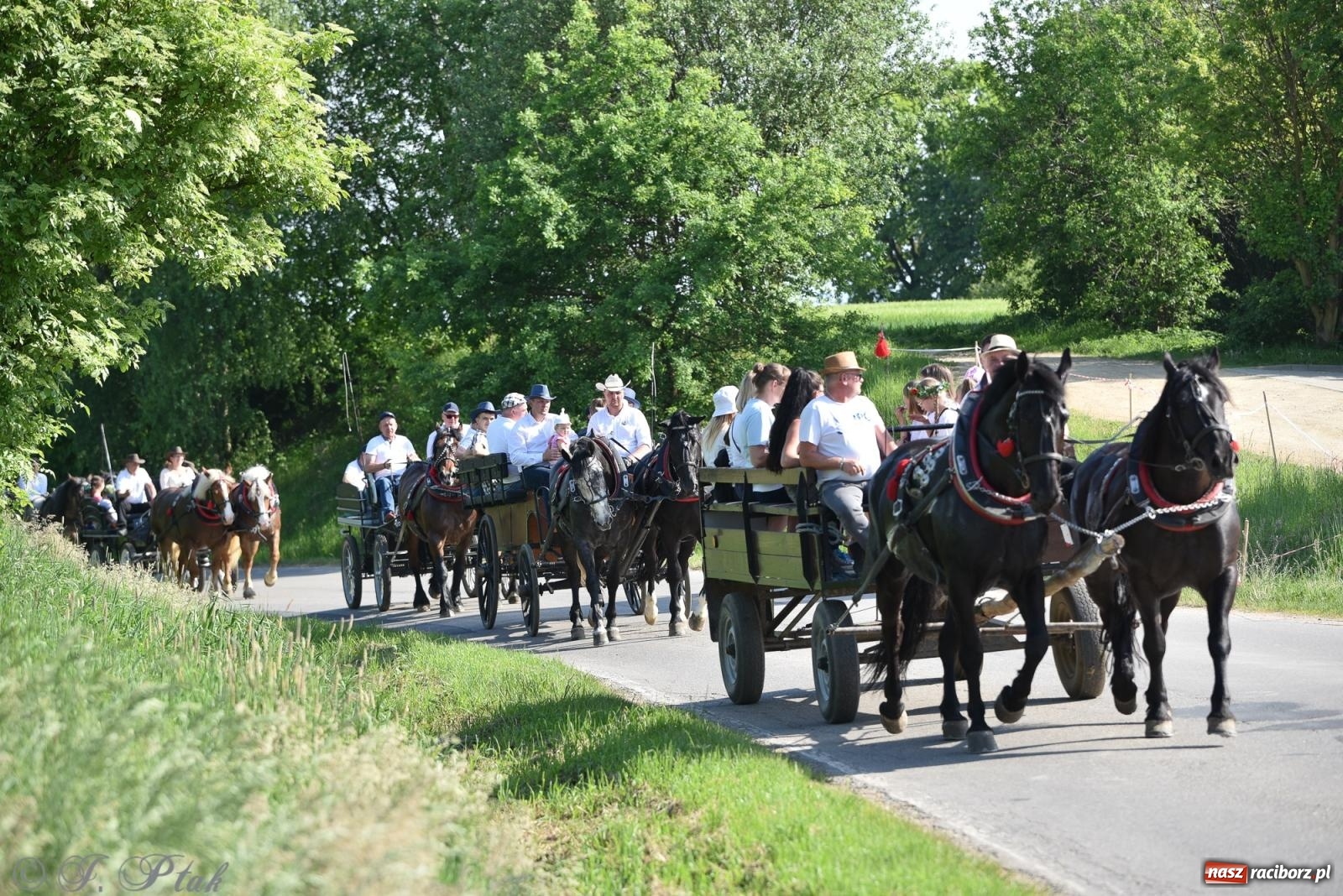 Zdjęcie w galerii na portalu naszraciborz.pl: Na pamiątkę wielkiego gradobicia. 147. procesja w Pogrzebieniu [FOTO i WIDEO] wiadomości z regionu