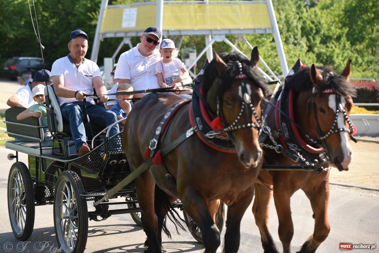 Zdjęcie w galerii na portalu naszraciborz.pl: Na pamiątkę wielkiego gradobicia. 147. procesja w Pogrzebieniu [FOTO i WIDEO] wiadomości z regionu