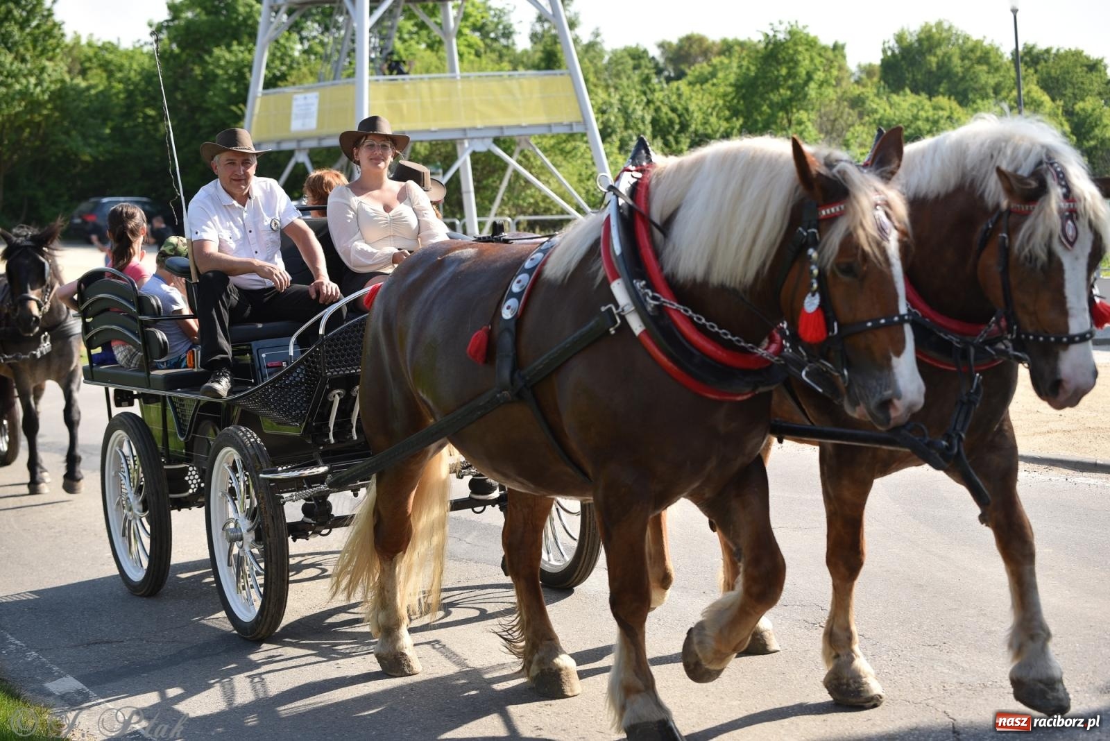 Zdjęcie w galerii na portalu naszraciborz.pl: Na pamiątkę wielkiego gradobicia. 147. procesja w Pogrzebieniu [FOTO i WIDEO] wiadomości z regionu