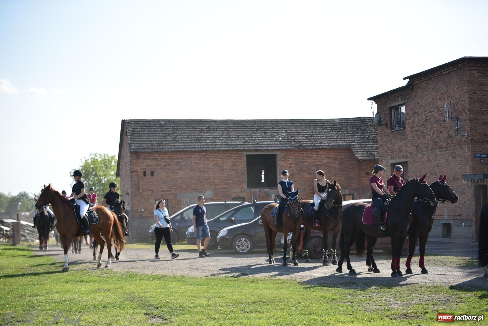 Zdjęcie w galerii na portalu naszraciborz.pl: Na pamiątkę wielkiego gradobicia. 147. procesja w Pogrzebieniu [FOTO i WIDEO] wiadomości z regionu