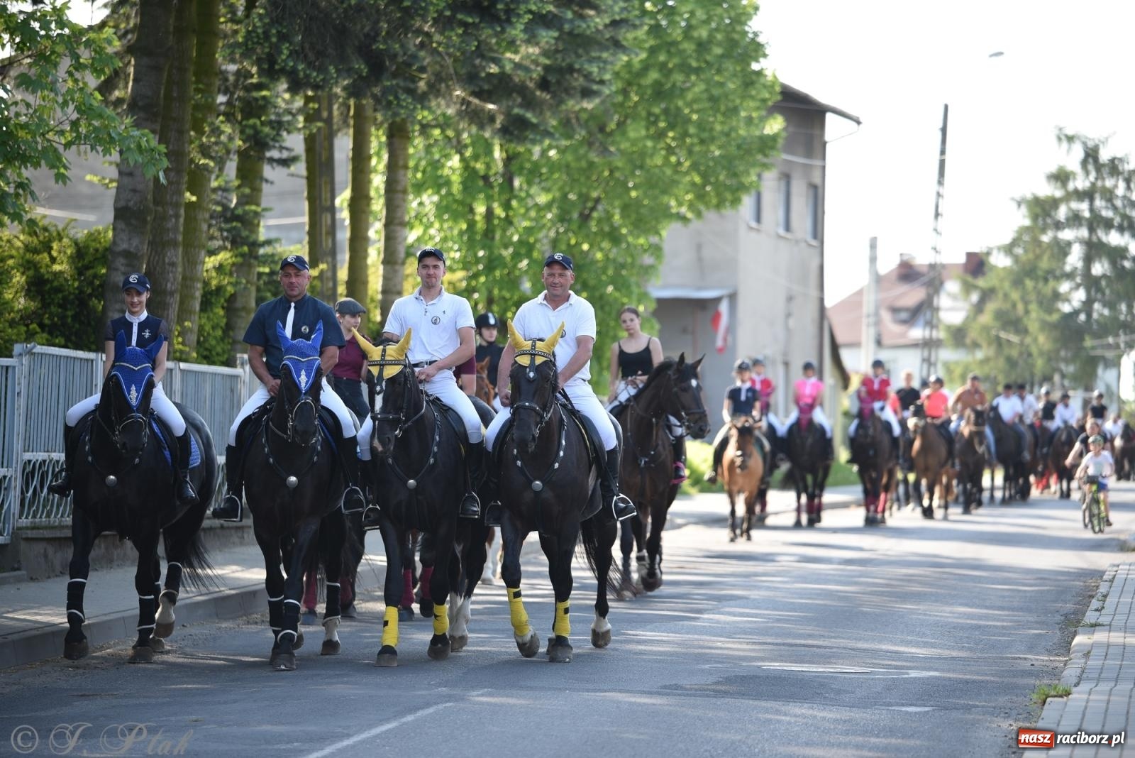 Zdjęcie w galerii na portalu naszraciborz.pl: Na pamiątkę wielkiego gradobicia. 147. procesja w Pogrzebieniu [FOTO i WIDEO] wiadomości z regionu