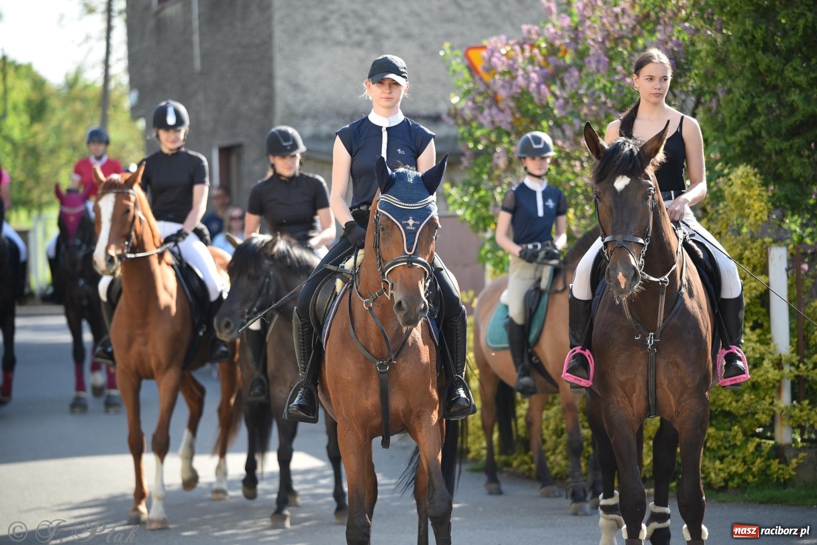 Zdjęcie w galerii na portalu naszraciborz.pl: Na pamiątkę wielkiego gradobicia. 147. procesja w Pogrzebieniu [FOTO i WIDEO] wiadomości z regionu