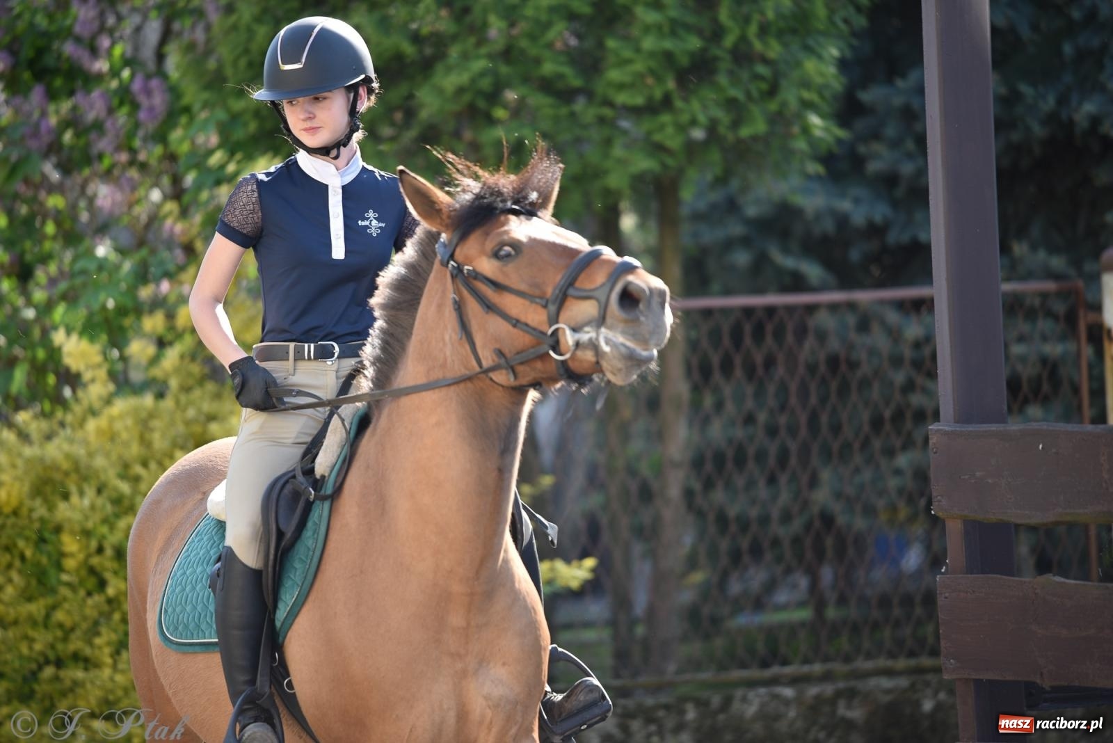 Zdjęcie w galerii na portalu naszraciborz.pl: Na pamiątkę wielkiego gradobicia. 147. procesja w Pogrzebieniu [FOTO i WIDEO] wiadomości z regionu