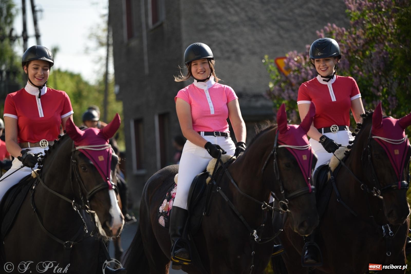 Zdjęcie w galerii na portalu naszraciborz.pl: Na pamiątkę wielkiego gradobicia. 147. procesja w Pogrzebieniu [FOTO i WIDEO] wiadomości z regionu