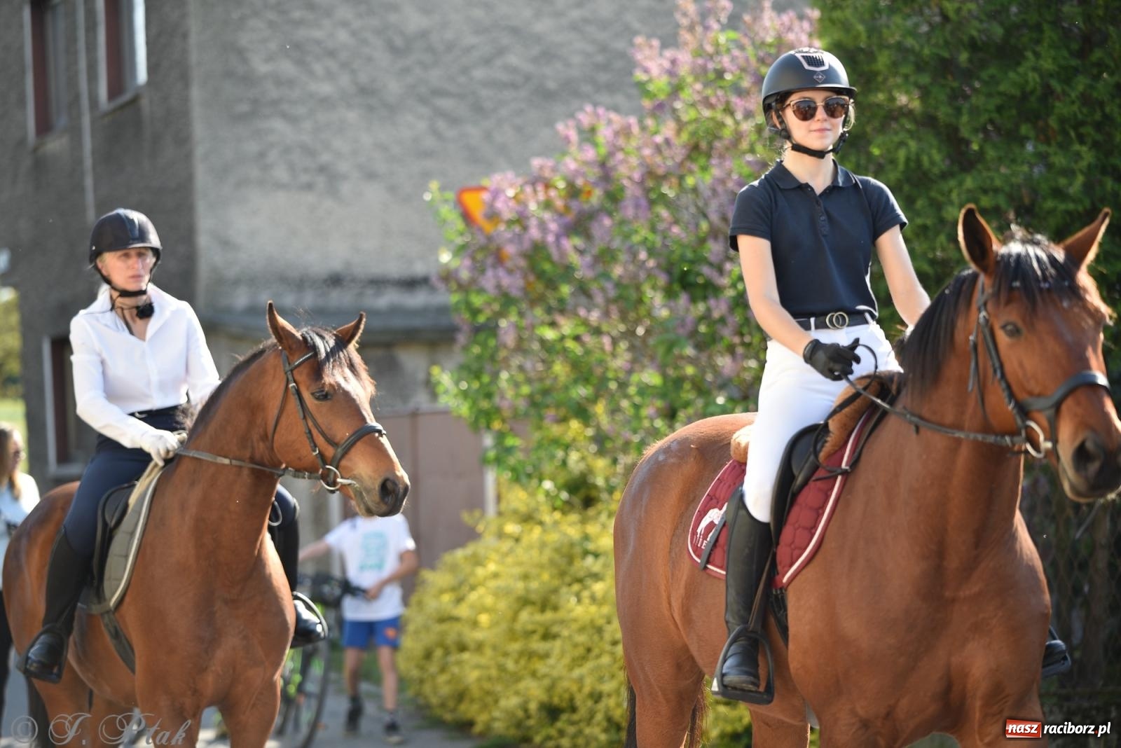 Zdjęcie w galerii na portalu naszraciborz.pl: Na pamiątkę wielkiego gradobicia. 147. procesja w Pogrzebieniu [FOTO i WIDEO] wiadomości z regionu