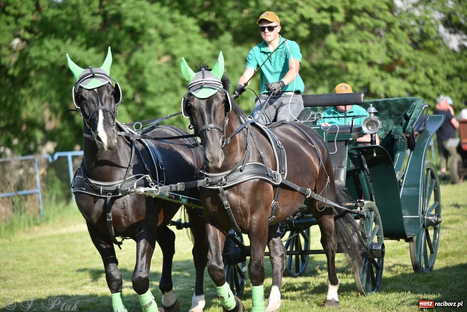 Zdjęcie w galerii na portalu naszraciborz.pl: Na pamiątkę wielkiego gradobicia. 147. procesja w Pogrzebieniu [FOTO i WIDEO] wiadomości z regionu
