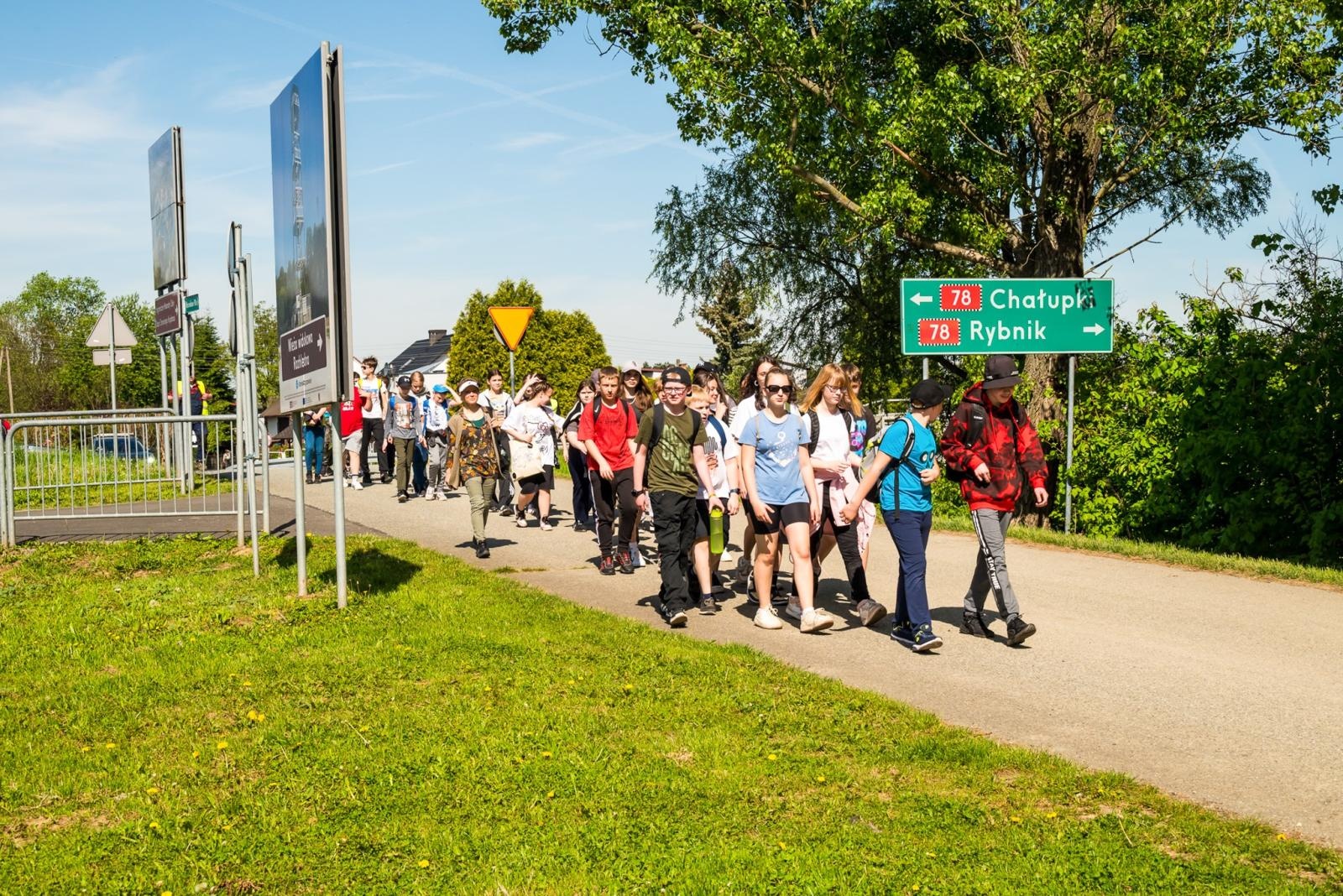 Zdjęcie w galerii na portalu naszraciborz.pl: Wspólne drzewo - wspólna przyszłość wiadomości z regionu