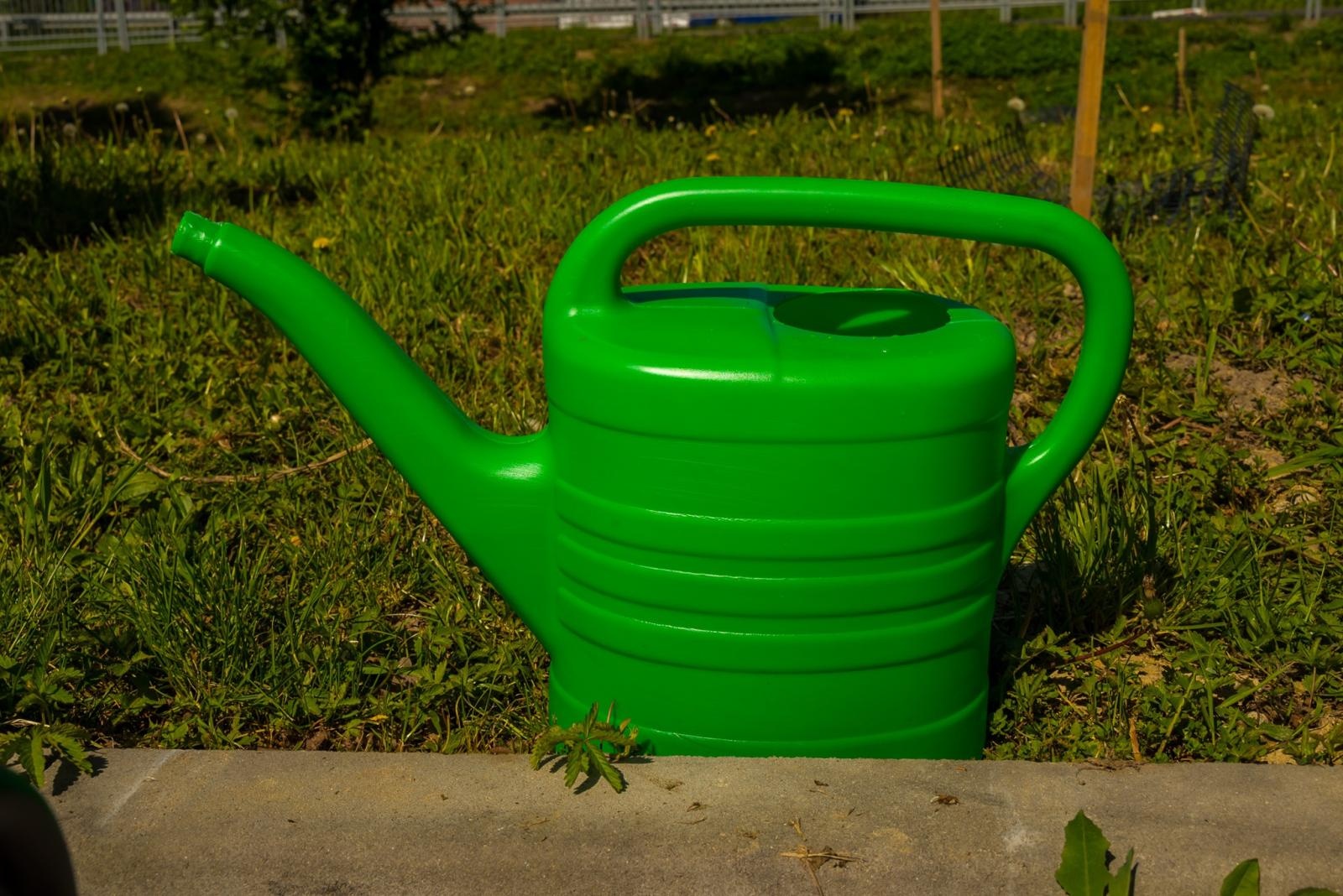 Zdjęcie w galerii na portalu naszraciborz.pl: Wspólne drzewo - wspólna przyszłość wiadomości z regionu