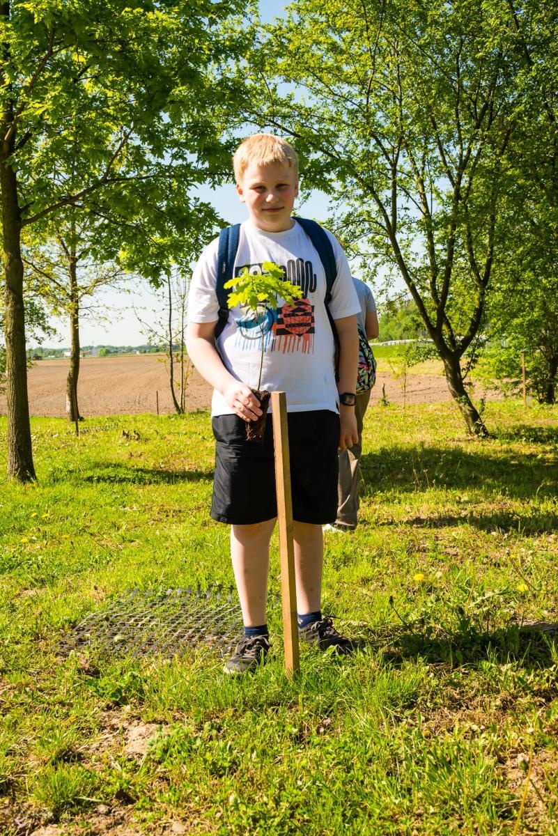 Zdjęcie w galerii na portalu naszraciborz.pl: Wspólne drzewo - wspólna przyszłość wiadomości z regionu