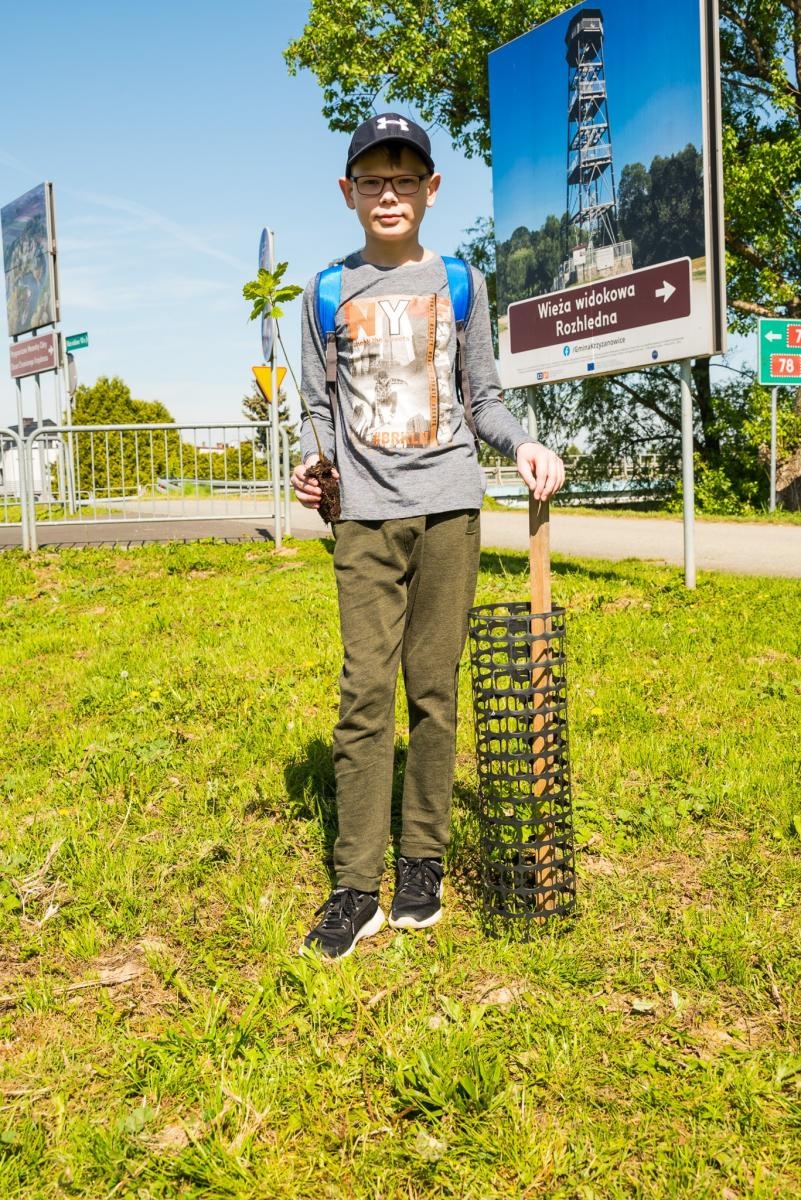 Zdjęcie w galerii na portalu naszraciborz.pl: Wspólne drzewo - wspólna przyszłość wiadomości z regionu