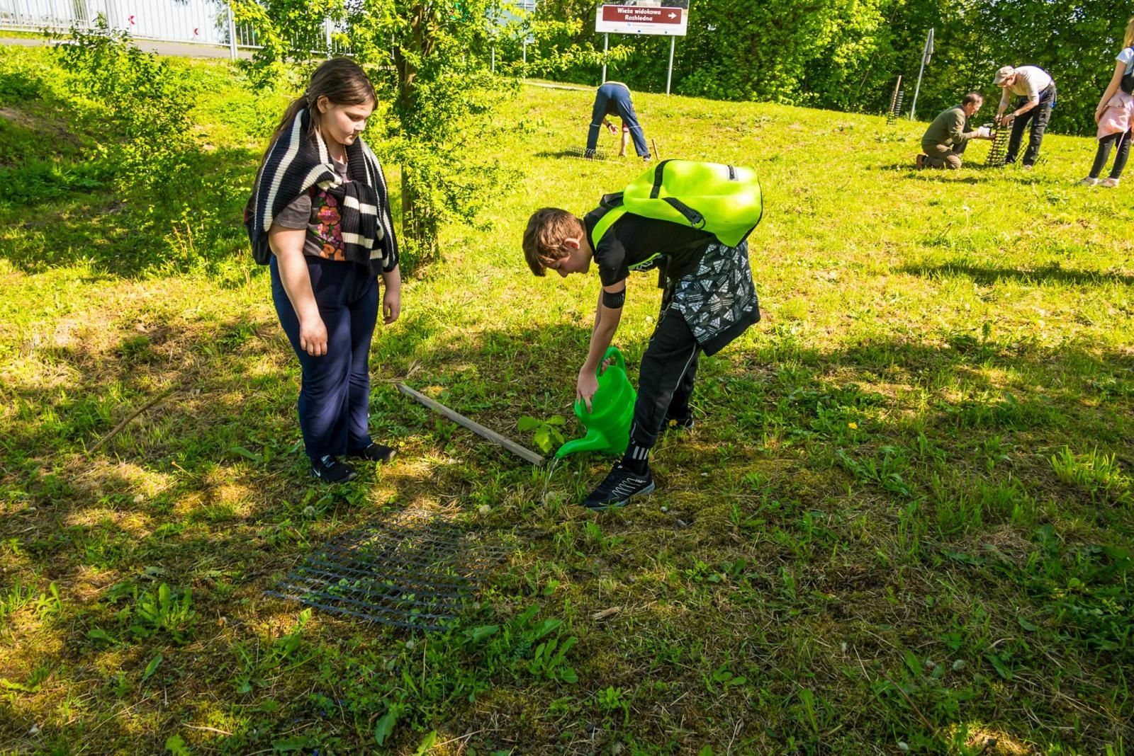 Zdjęcie w galerii na portalu naszraciborz.pl: Wspólne drzewo - wspólna przyszłość wiadomości z regionu