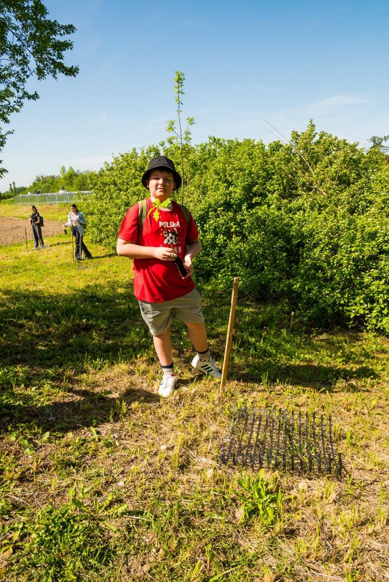Zdjęcie w galerii na portalu naszraciborz.pl: Wspólne drzewo - wspólna przyszłość wiadomości z regionu