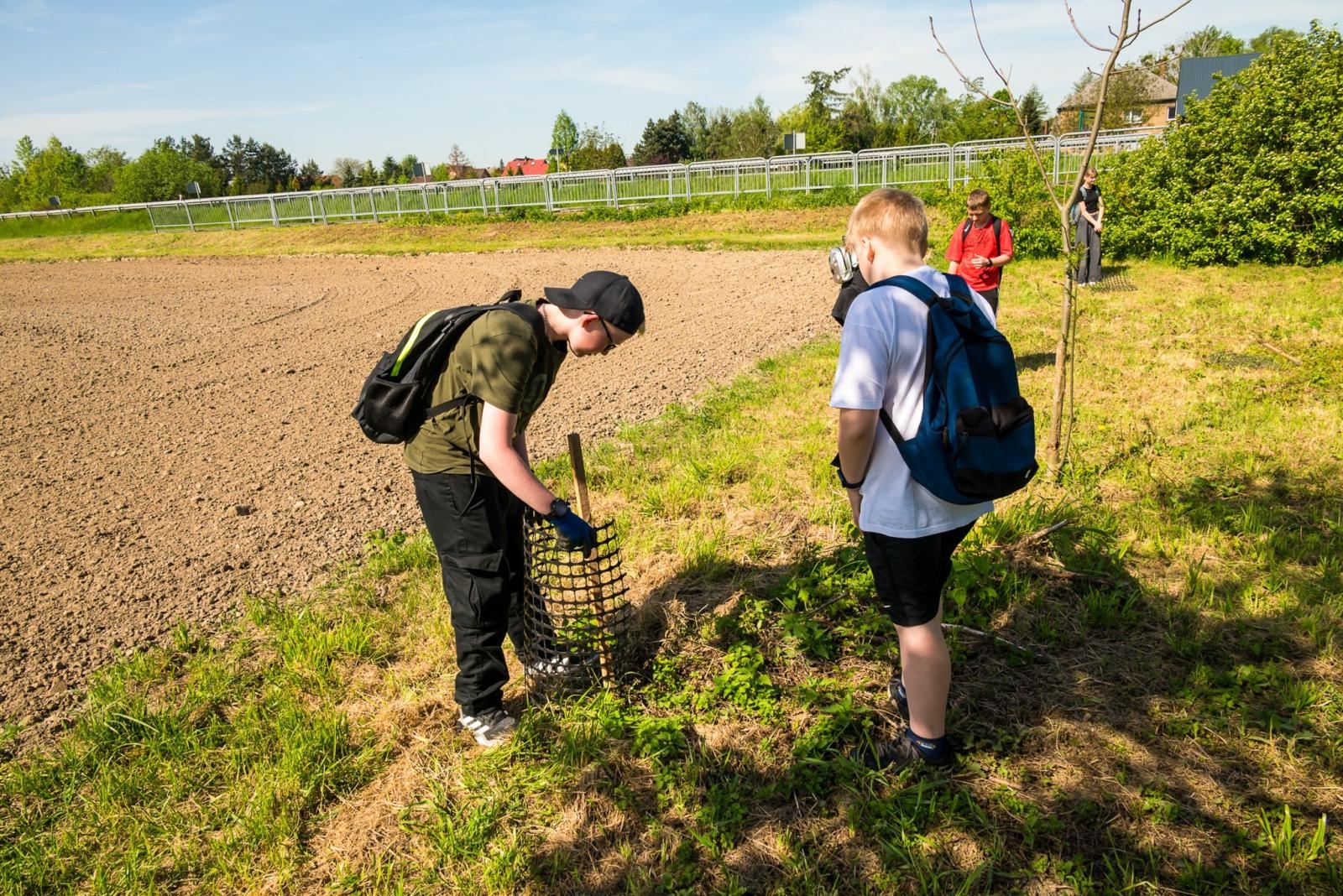 Zdjęcie w galerii na portalu naszraciborz.pl: Wspólne drzewo - wspólna przyszłość wiadomości z regionu