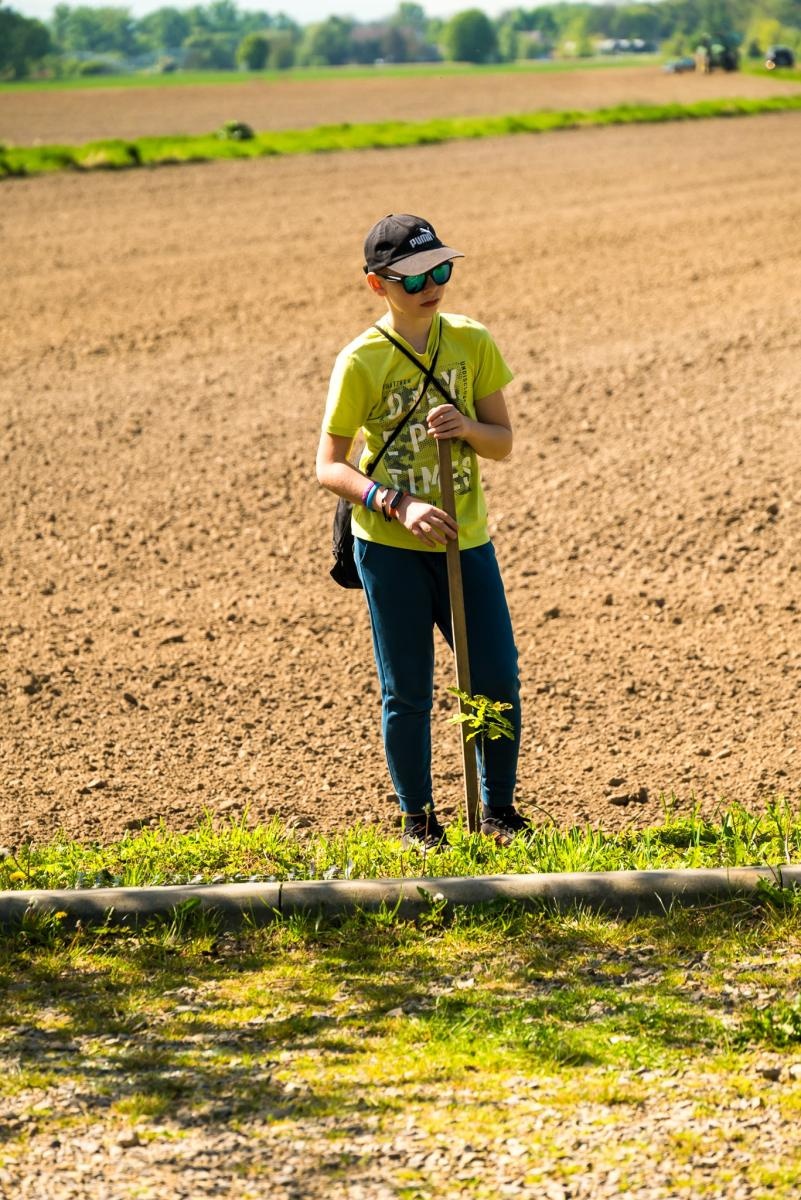 Zdjęcie w galerii na portalu naszraciborz.pl: Wspólne drzewo - wspólna przyszłość wiadomości z regionu