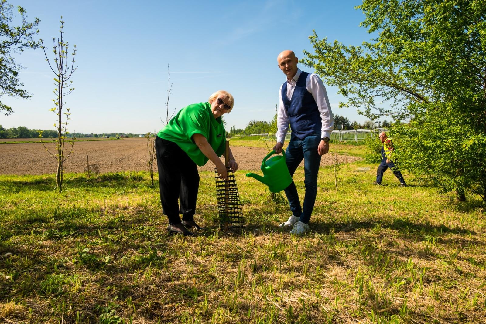 Zdjęcie w galerii na portalu naszraciborz.pl: Wspólne drzewo - wspólna przyszłość wiadomości z regionu