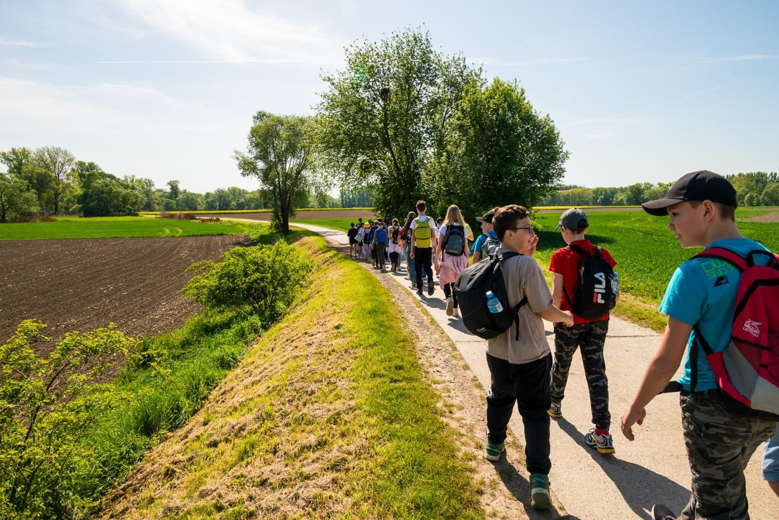Zdjęcie w galerii na portalu naszraciborz.pl: Wspólne drzewo - wspólna przyszłość wiadomości z regionu