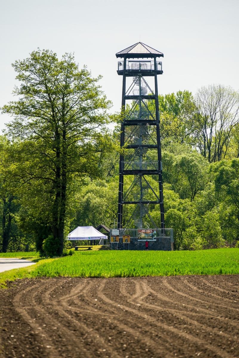 Zdjęcie w galerii na portalu naszraciborz.pl: Wspólne drzewo - wspólna przyszłość wiadomości z regionu