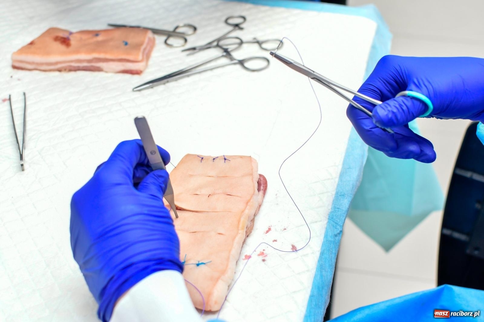 Zdjęcie w galerii na portalu naszraciborz.pl: Dni Otwarte Funduszy Europejskich w Akademii Nauk Stosowanych w Raciborzu [FOTO i WIDEO] wiadomości z regionu