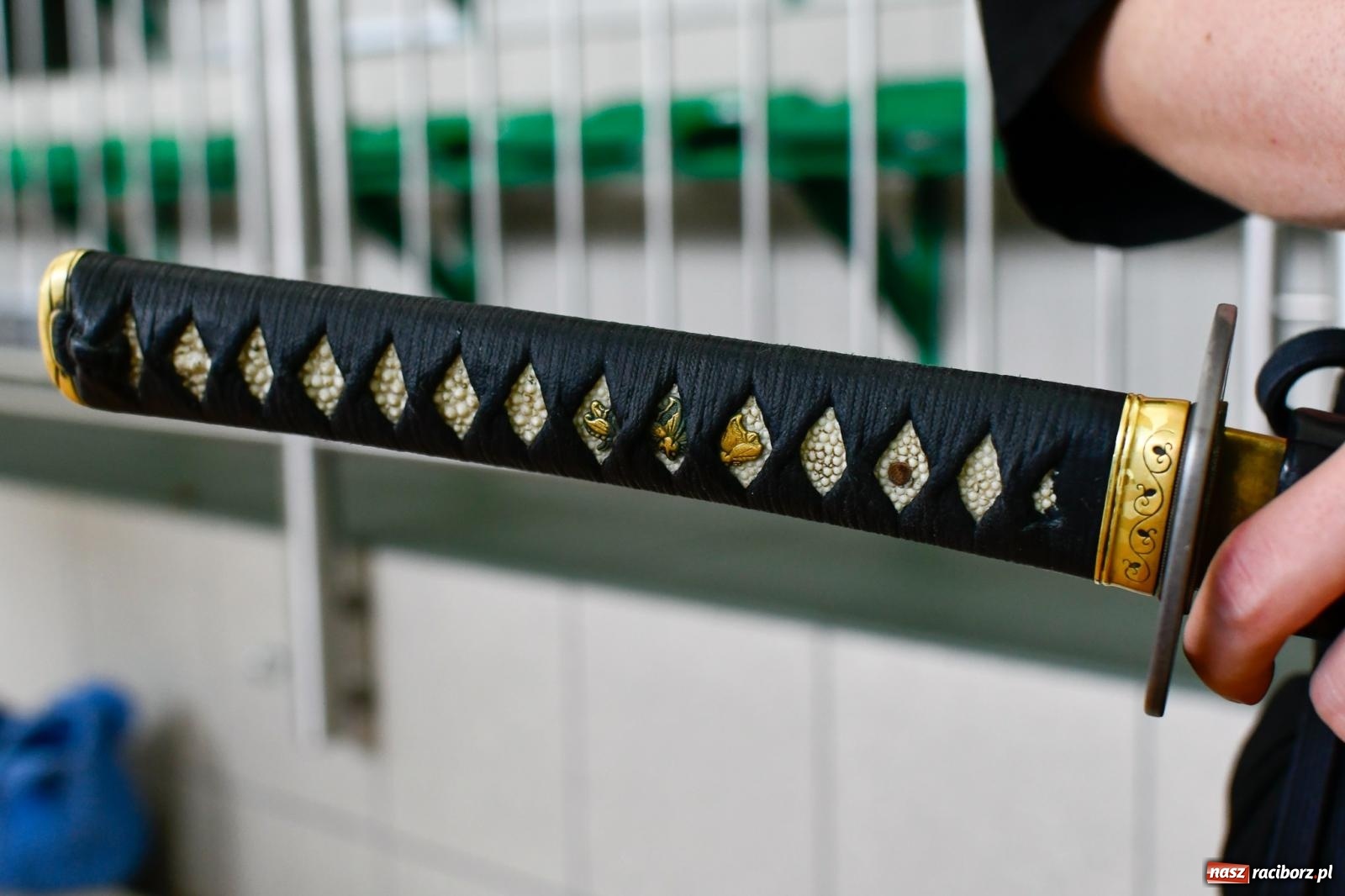 Zdjęcie w galerii na portalu naszraciborz.pl: W Raciborzu trwają Otwarte Mistrzostwa Polski Iaido 2024 [FOTO i WIDEO] wiadomości z regionu