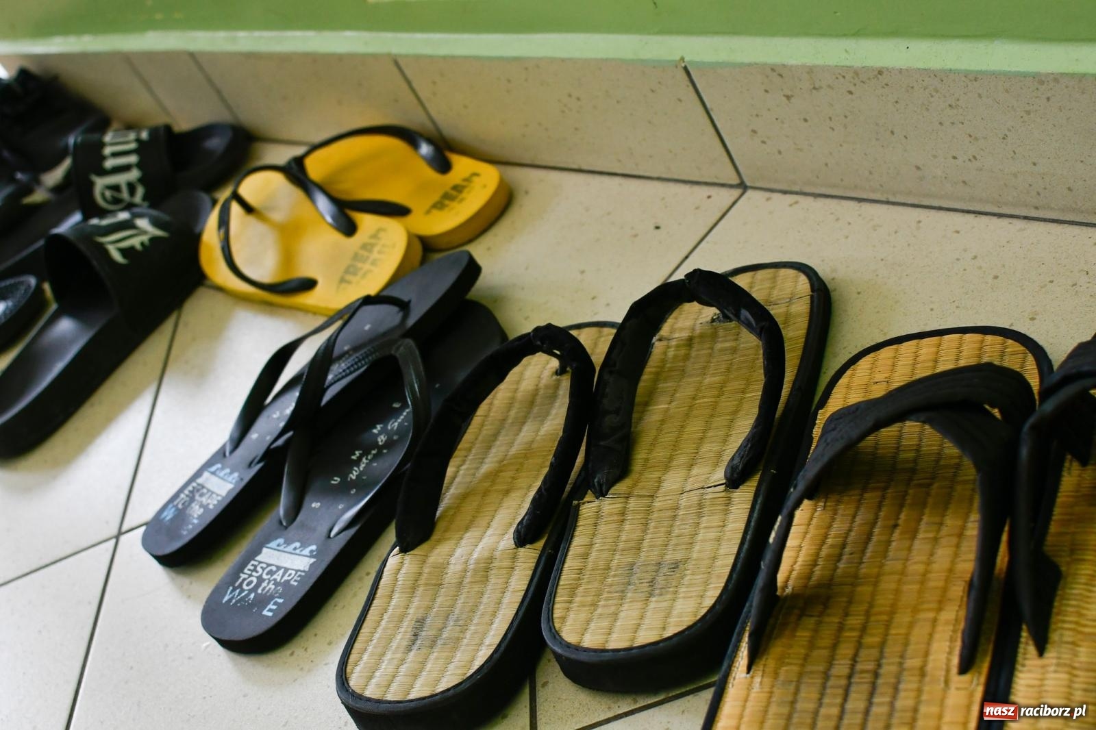 Zdjęcie w galerii na portalu naszraciborz.pl: W Raciborzu trwają Otwarte Mistrzostwa Polski Iaido 2024 [FOTO i WIDEO] wiadomości z regionu